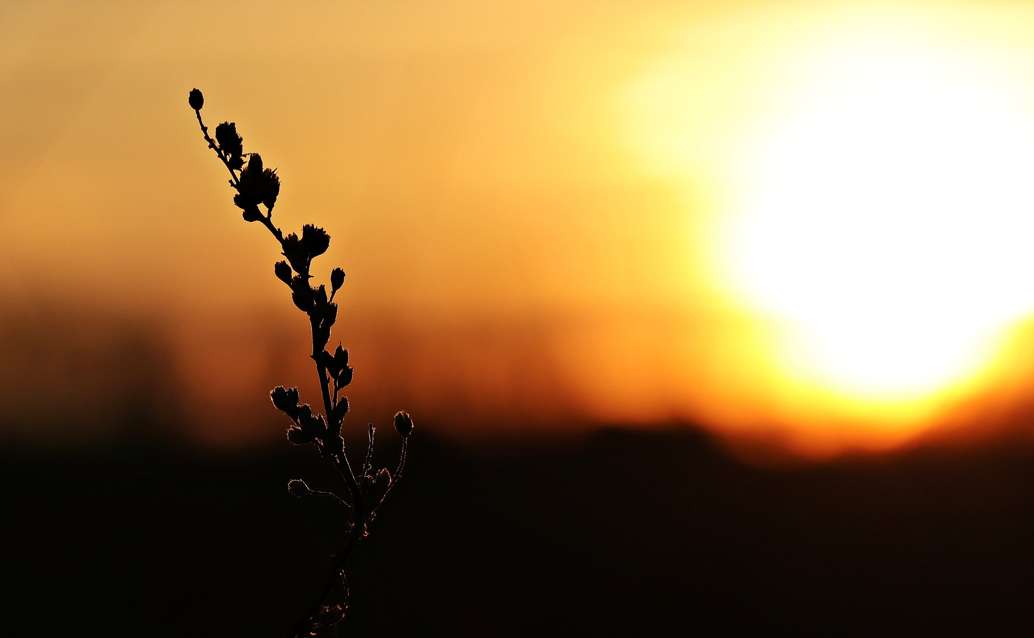 atmosphere, back light, golden, sky, winter, back lit, afterglow, clouds, nature, mood, romantic, landscape, scenics - nature, beauty in nature, sunset, HD Wallpaper