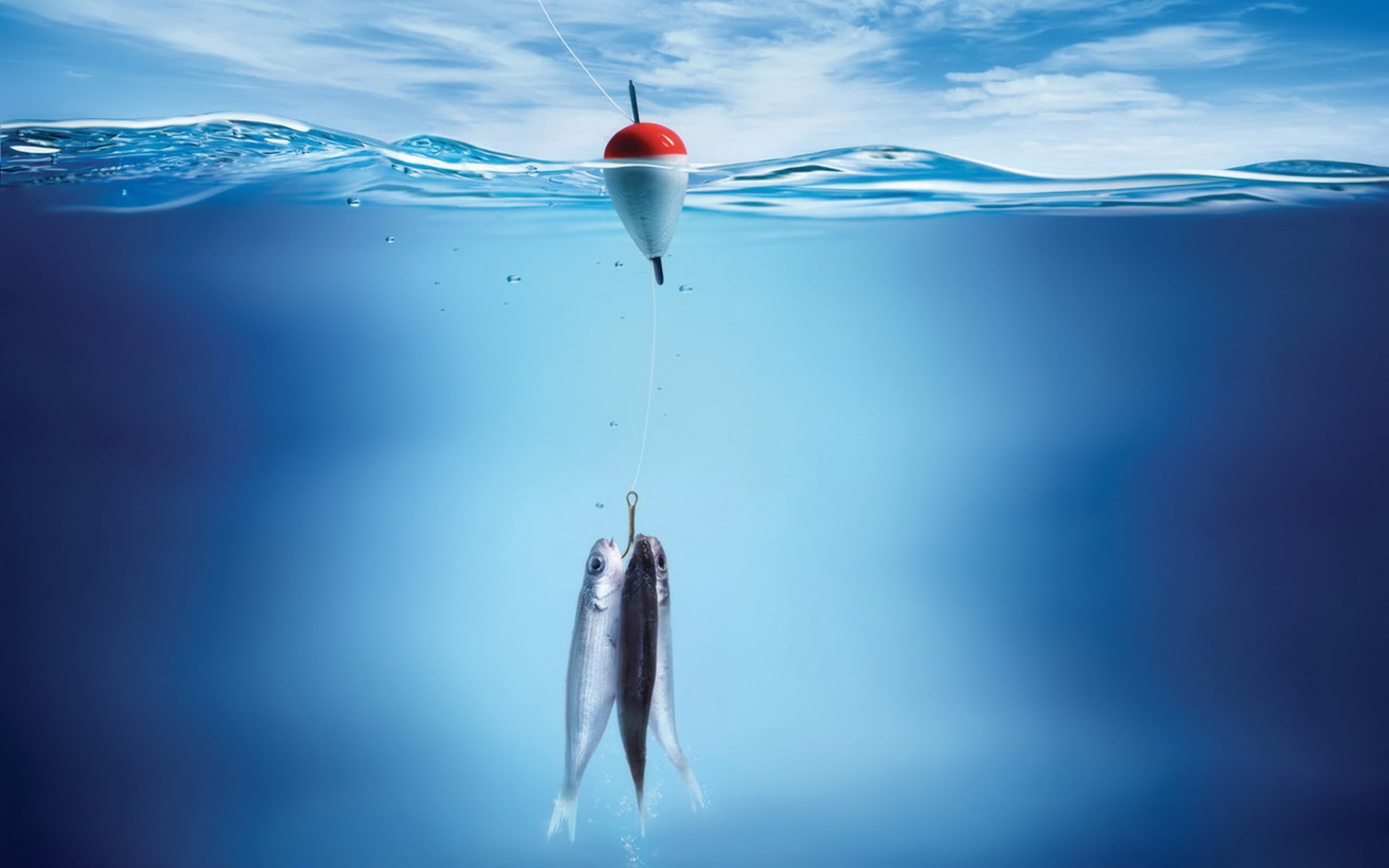 sea, underwater, water, fish, 1080P, fishing rod, HD Wallpaper