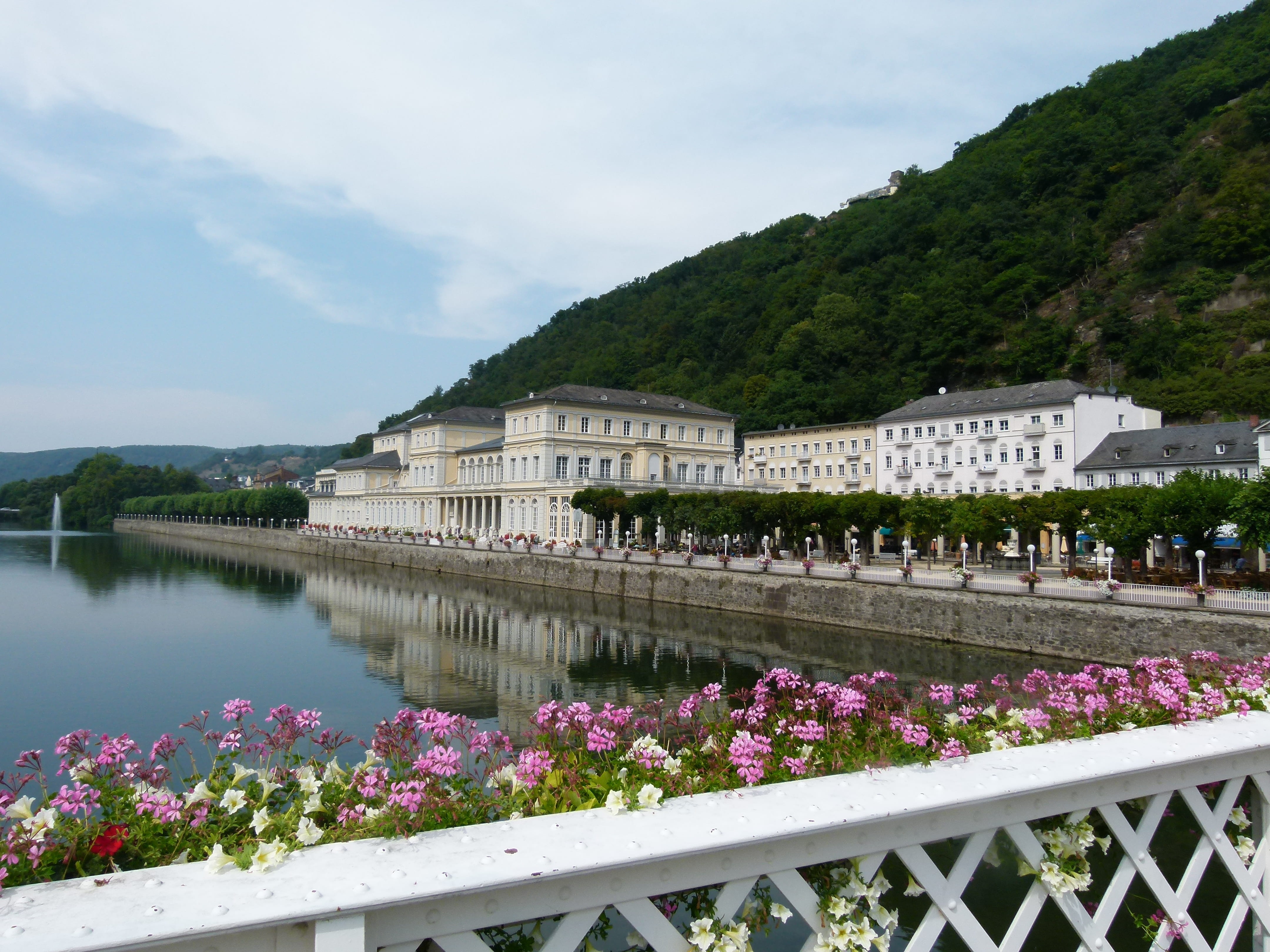 growth, outdoors, kurhaus, ems, flower, freshness, kurt heater, beauty in nature, travel destinations, river, day, the lahn valley, water, spa town, tree, HD Wallpaper