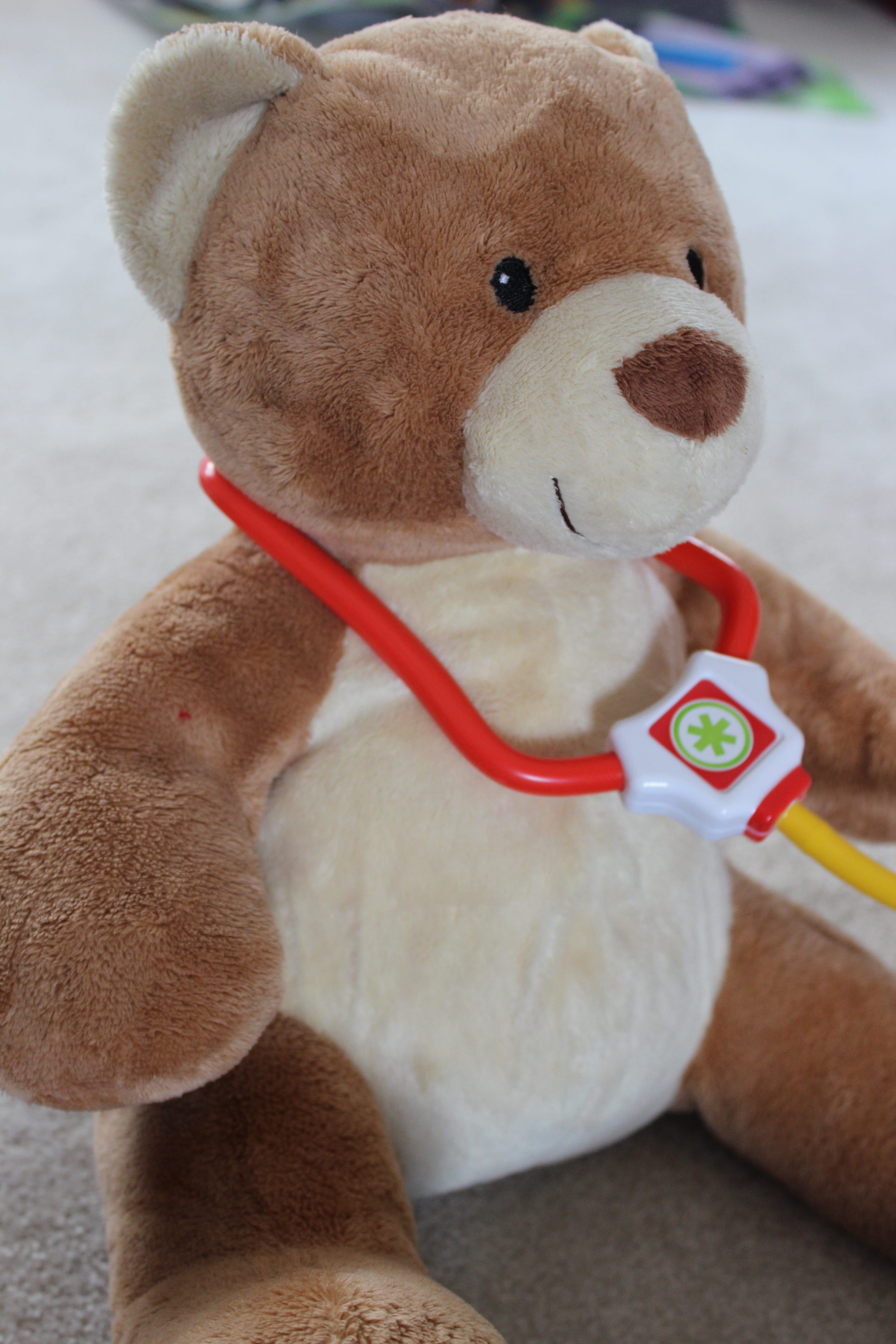 bear, mammal, dog, vertebrate, 5K, no people, animal themes, profession, stuffed toy, close-up, checkup, pet collar, teddy bear, domestic animals, doctor, Phone HD Wallpaper