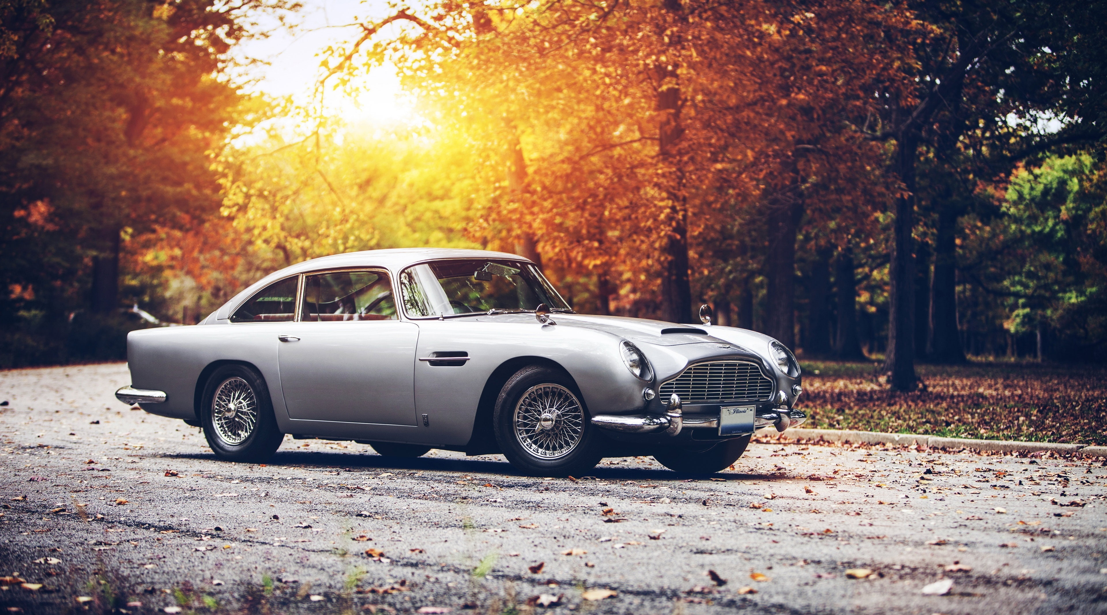 martin, day, no people, plant, city, mode of transportation, db, sunlight, road, street, stationary, hd, Vintage, car, motor vehicle, outdoors, nature, HD Wallpaper