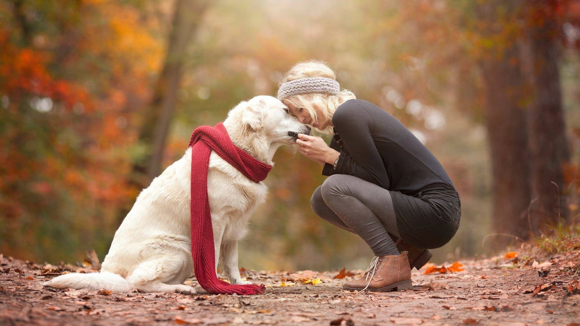 1080P, nature, scarf, animal themes, one animal, togetherness, child, laughing, leisure Activity, lifestyles, day, shirt, domestic Animals, cheerful, outdoors, HD Wallpaper