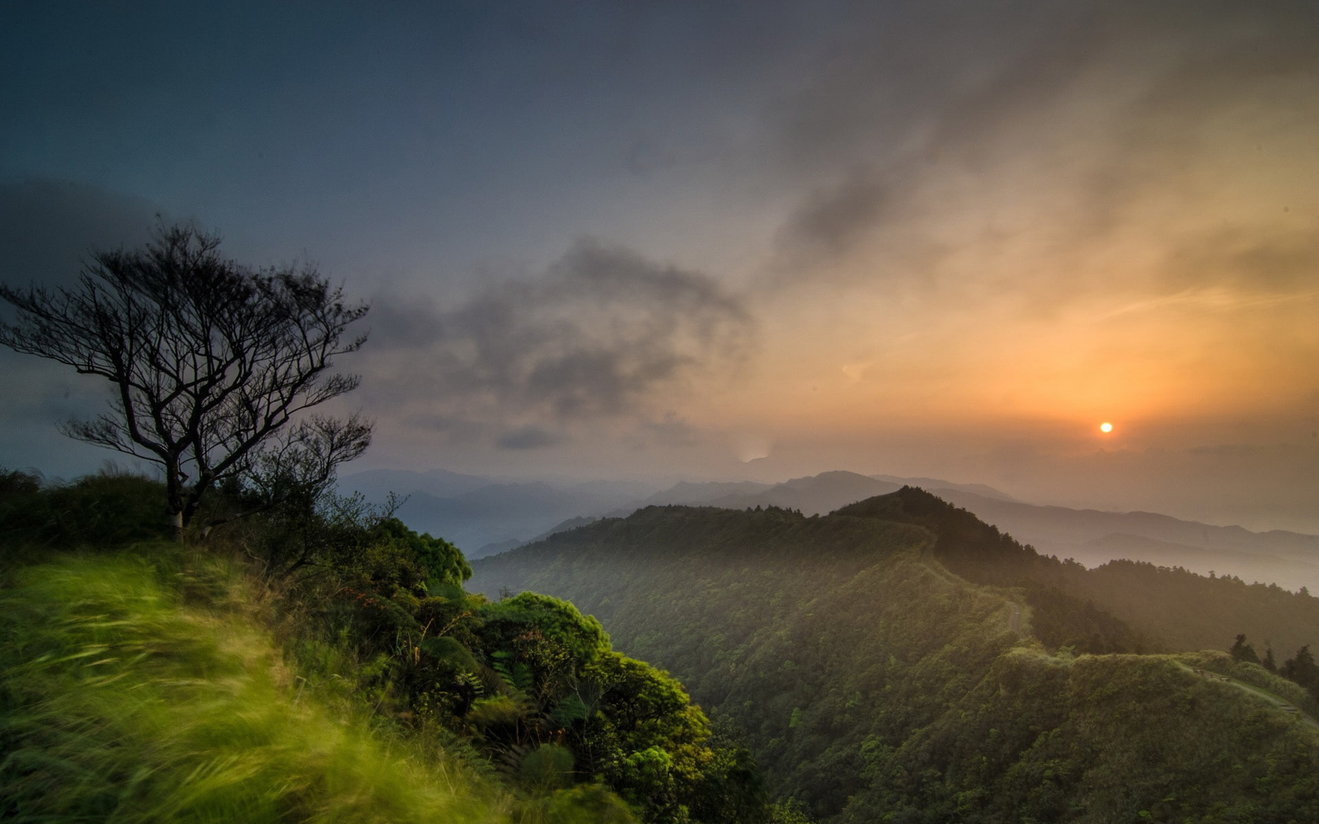 Dawn, Morning, Trees, Landscape, Sun, Mist, Rays, 1080P, HD Wallpaper