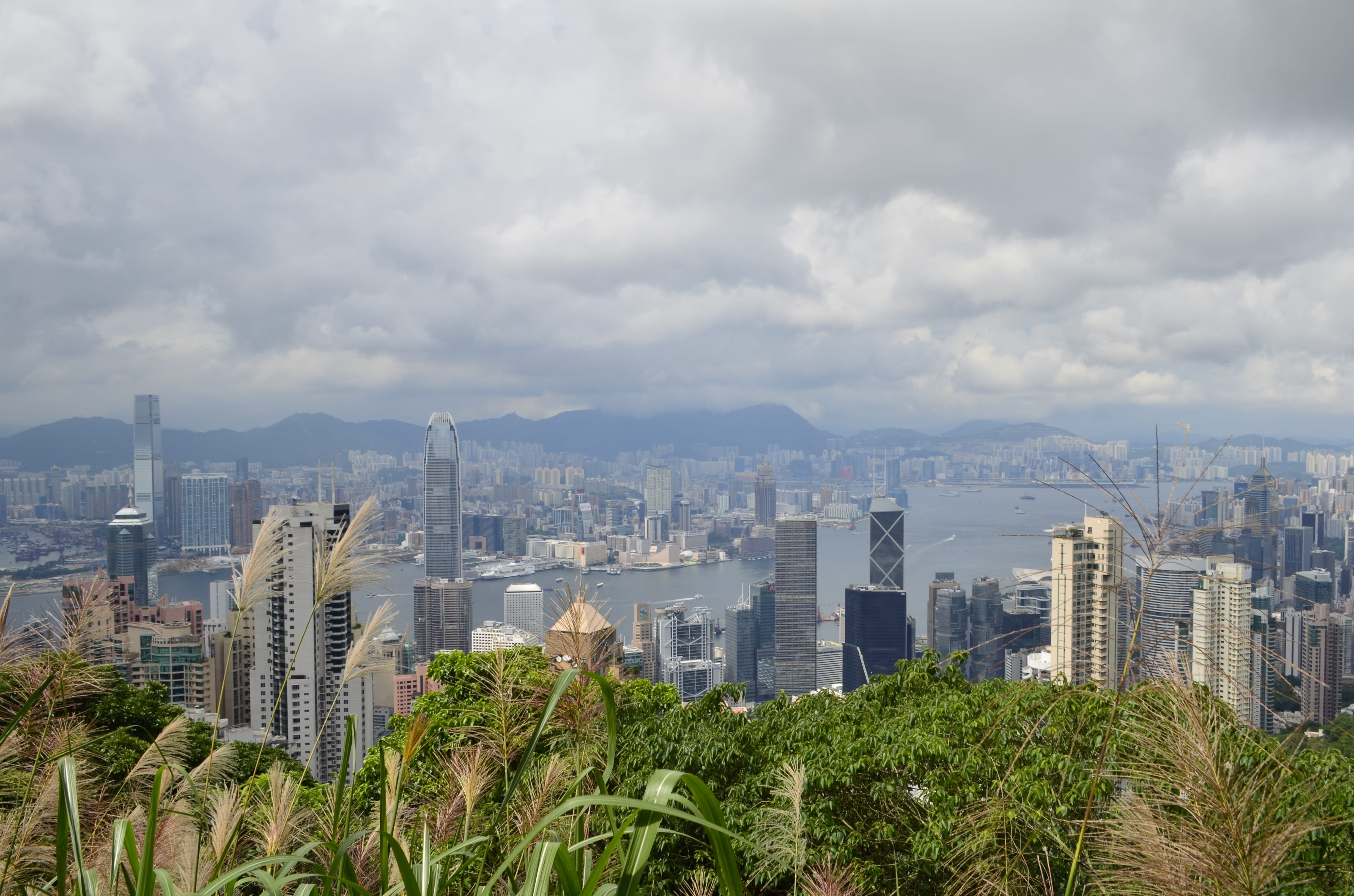 light, building exterior, built structure, tree, hong kong skyline, metropolis, tower, skyscraper, landscape, growth, Skyline, business, cloud - sky, crowd, HD Wallpaper