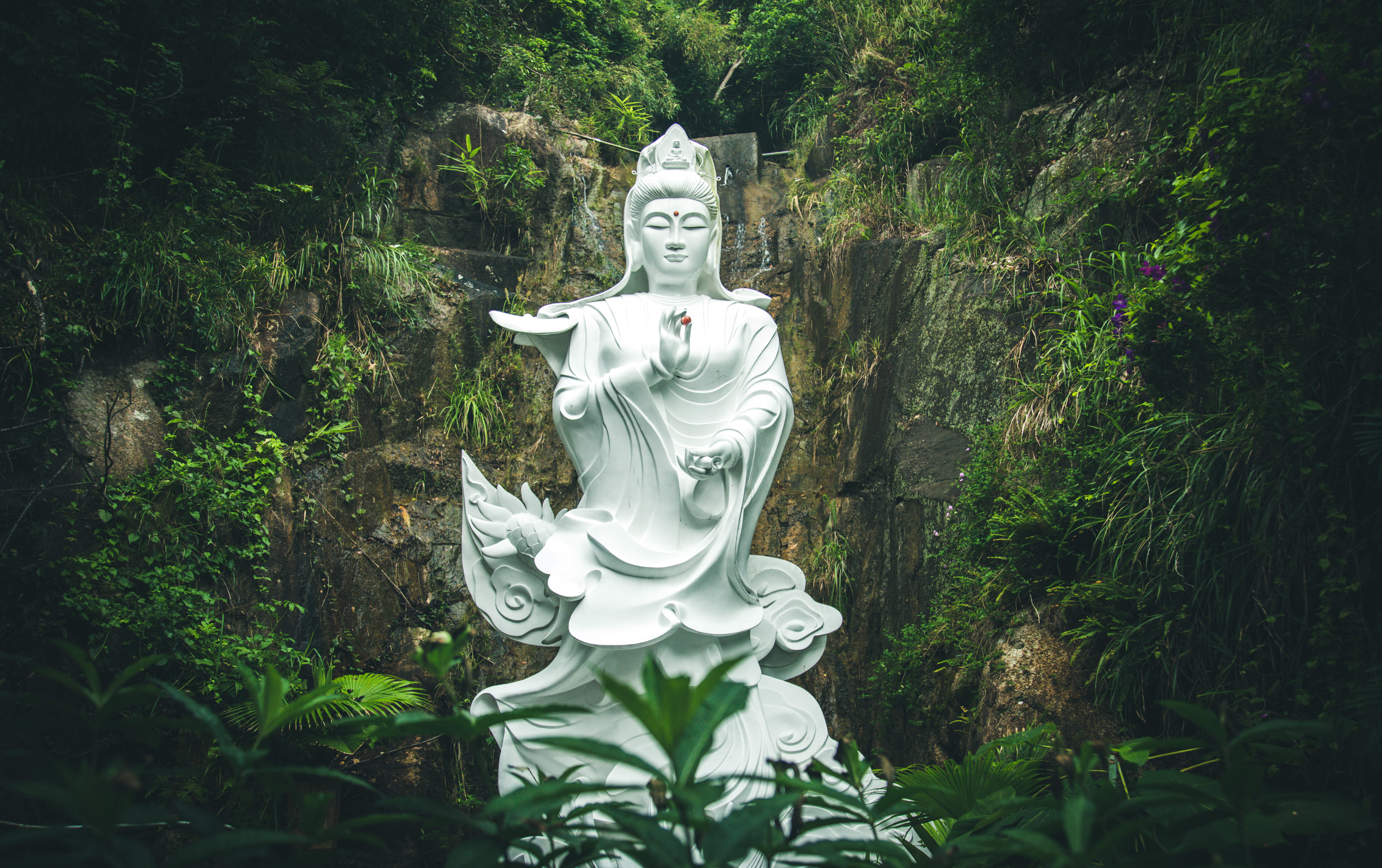 plant, person, outdoors, nature, vegetation, religion, housing, green color, spirituality, buddha, art and craft, human representation, 5K, temple, creativity, HD Wallpaper