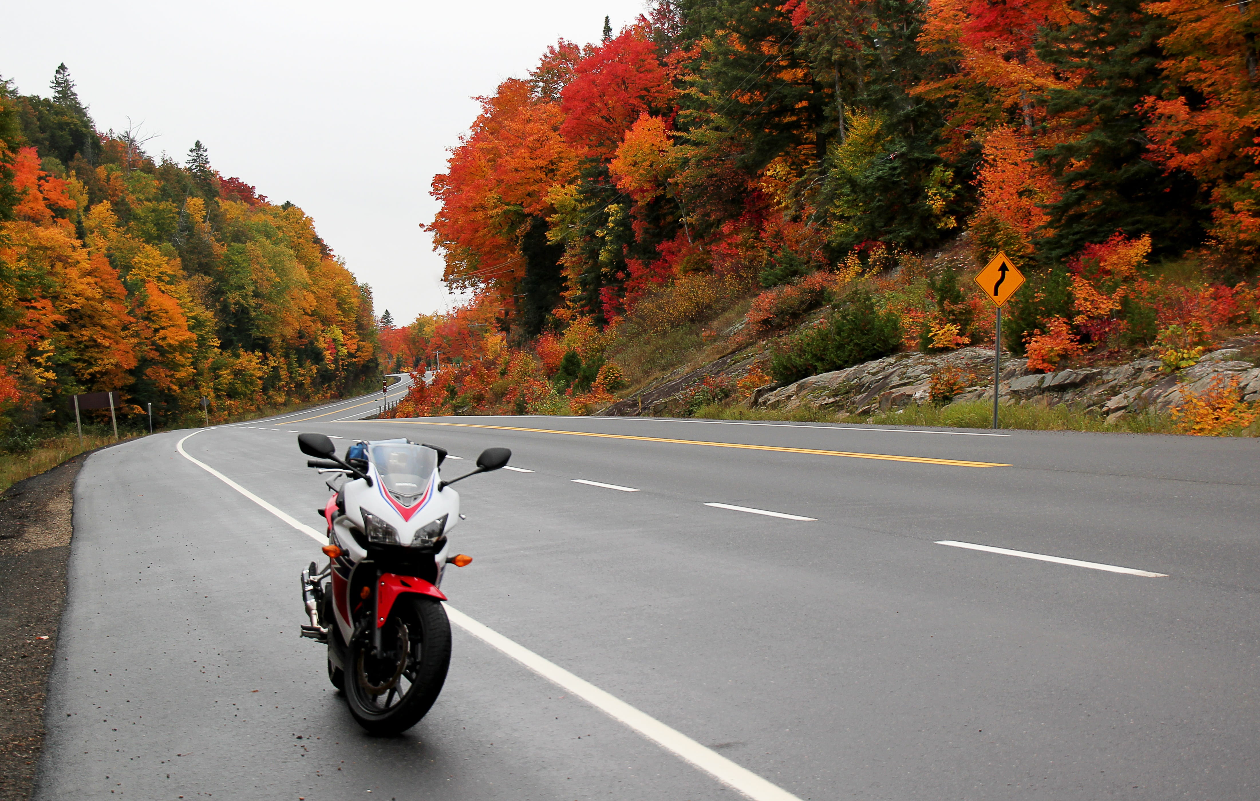 bicycle, plant, road marking, transportation, transportation system, land vehicle, algonquin park, ontario, day, fall foliage, drive, nature, honda cbr500r, HD Wallpaper