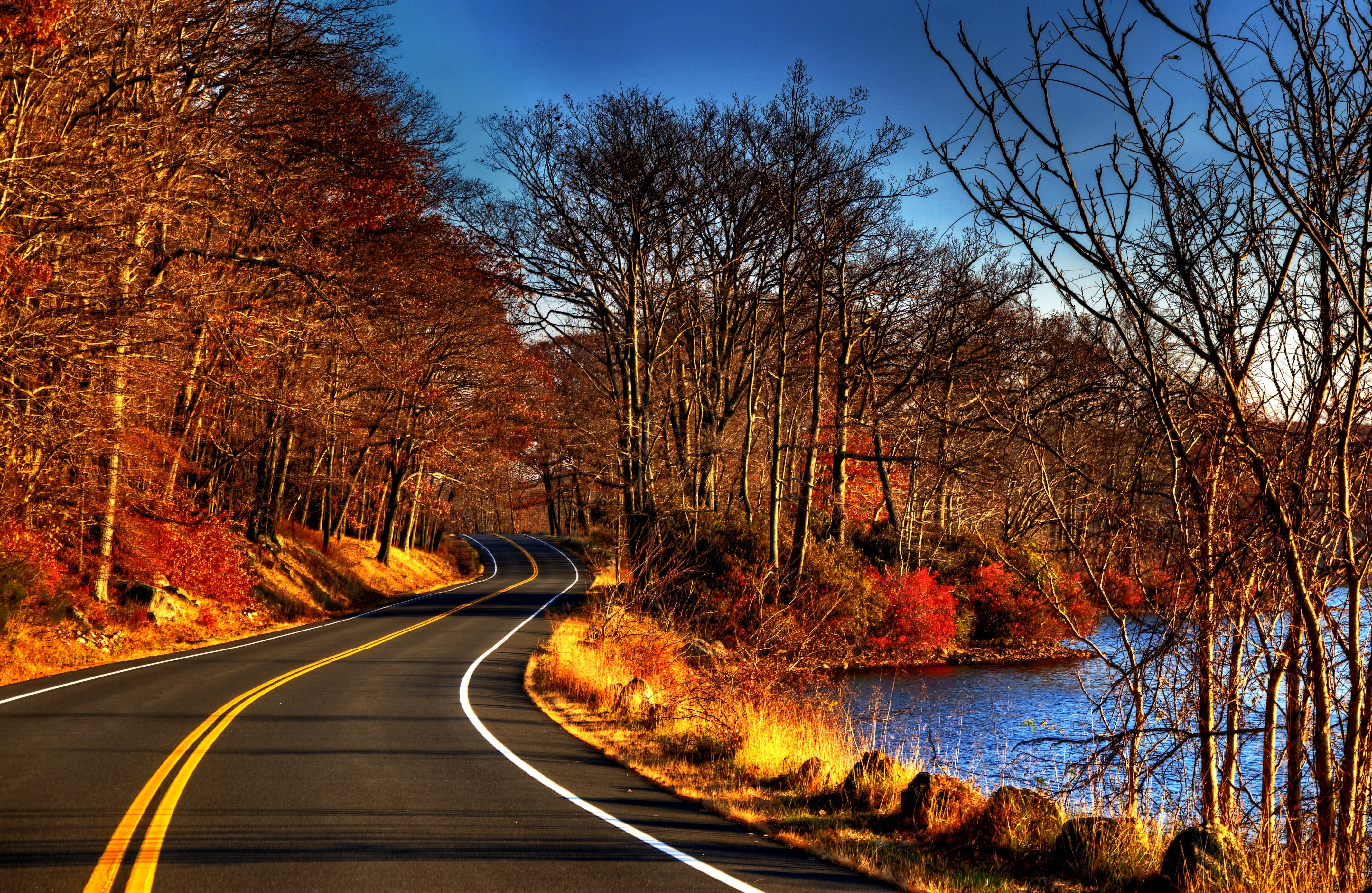 water, woodland, october, trees, uSA, red, 4K, leaf, the way forward, marking, view, outdoors, nature, transportation, tranquility, rural Scene, leaves, HD Wallpaper