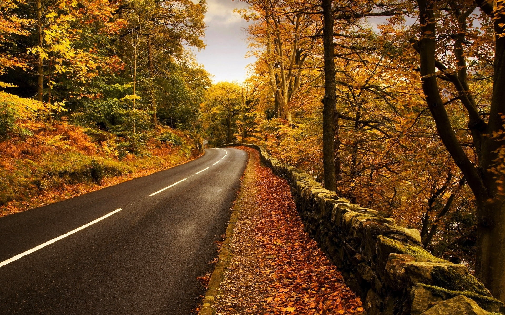multi Colored, roadside, lush Foliage, stone, road marking, orange Color, red, no People, single Lane Road, woodland, road, diminishing perspective, orange, HD Wallpaper