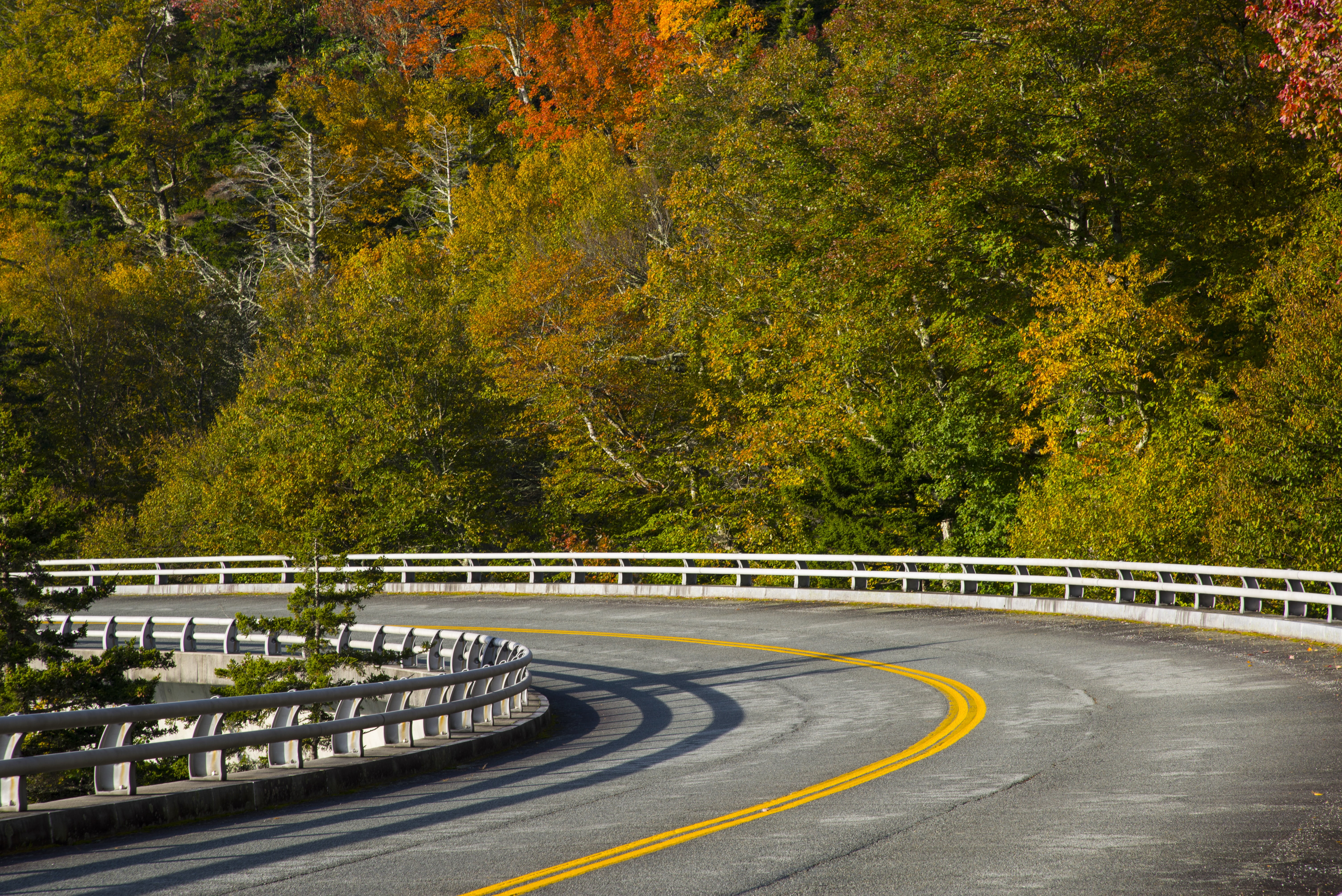 crash barrier, season, street, outdoors, day, linn cove viaduct, tree, asphalt, connection, curve, forest, the way forward, road, landscape, fall leaves, HD Wallpaper
