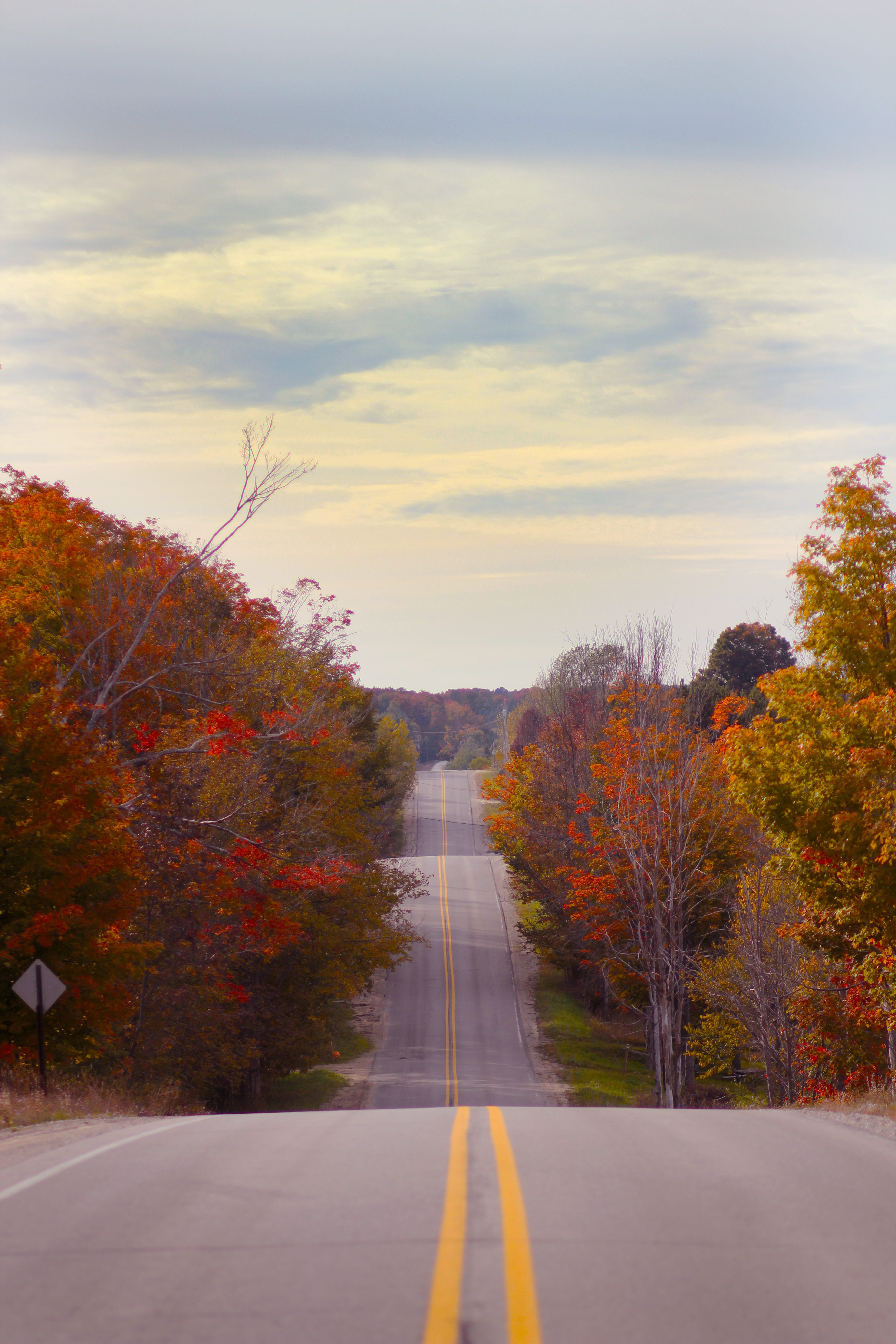 no people, orange color, tranquility, scenics - nature, day, road, transportation, direction, the way forward, marking, outdoors, tranquil scene, diminishing perspective, Phone HD Wallpaper