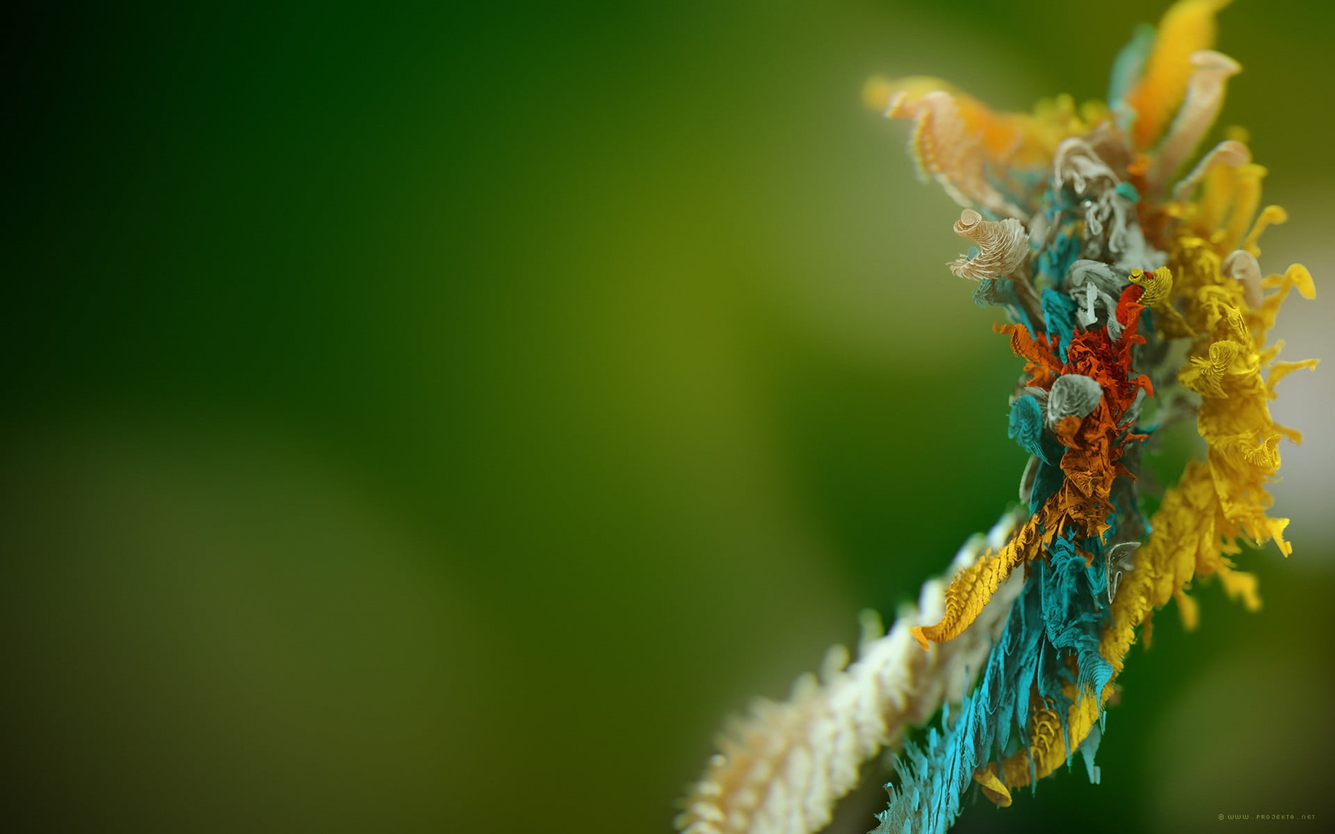 no people, blurred, green, green color, indoors, orange, flowering plant, blue, multi colored, focus on foreground, yellow, copy space, animal, 1080P, HD Wallpaper