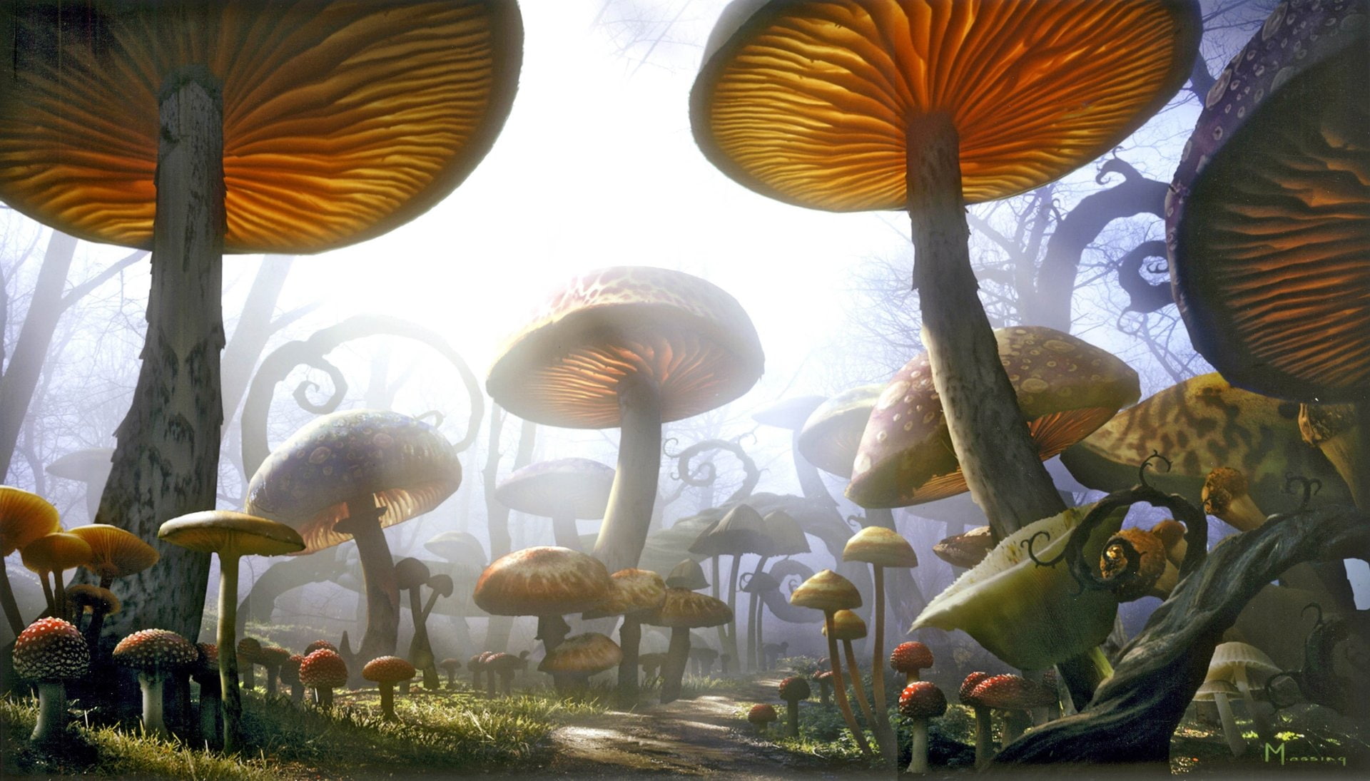 Movie, Alice in Wonderland (2010), 1080P, HD Wallpaper
