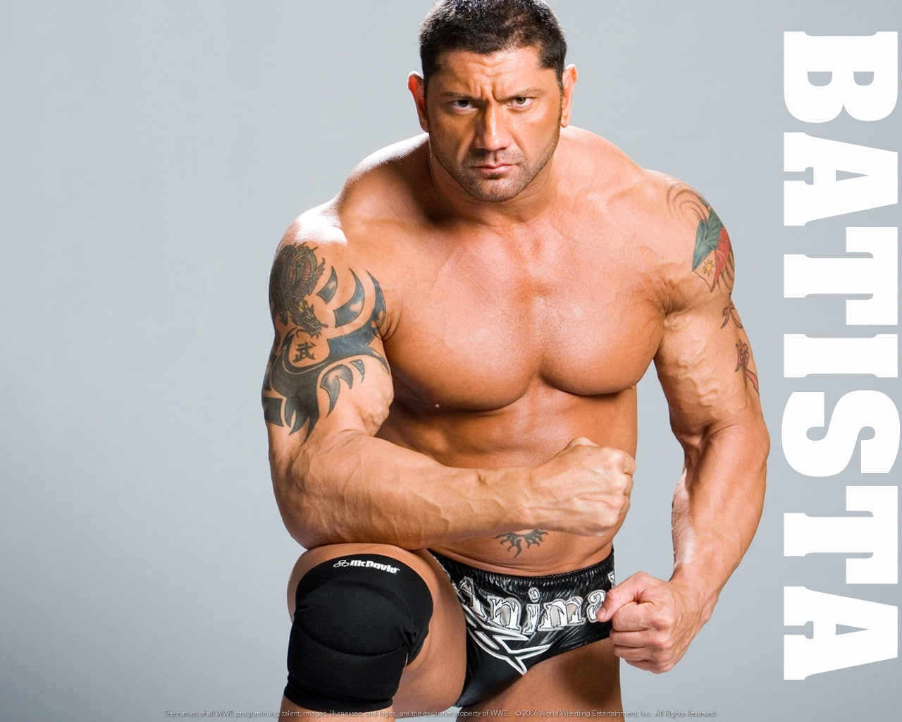 batista, wwe, hd, sports, animal, wrestling, 720P, the animal, HD Wallpaper