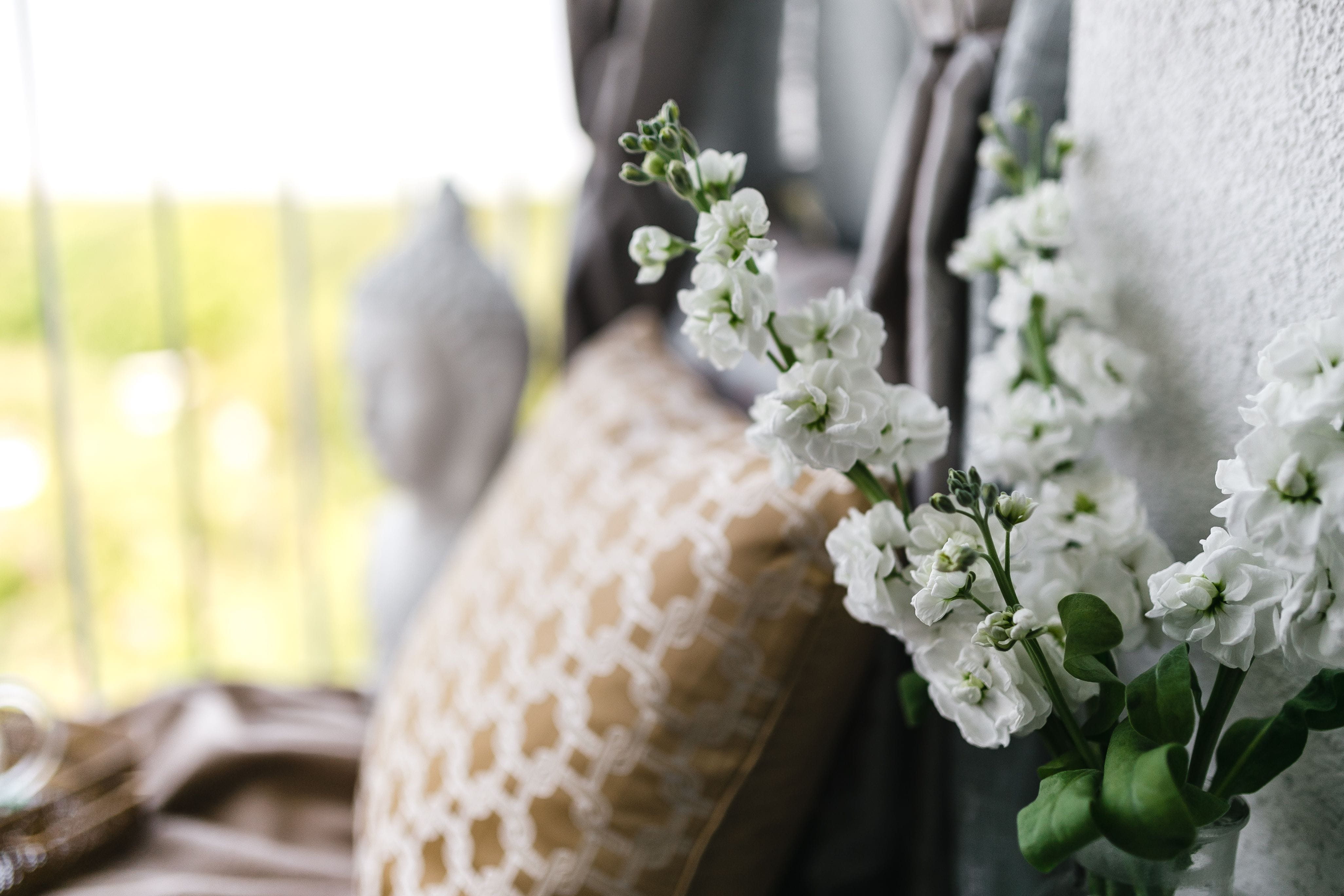 bouquet, flower head, close-up, Exotic, focus on foreground, comfy, outdoors, space, relax, 4K, freshness, resting, flowering plant, flower, seating, newlywed, HD Wallpaper
