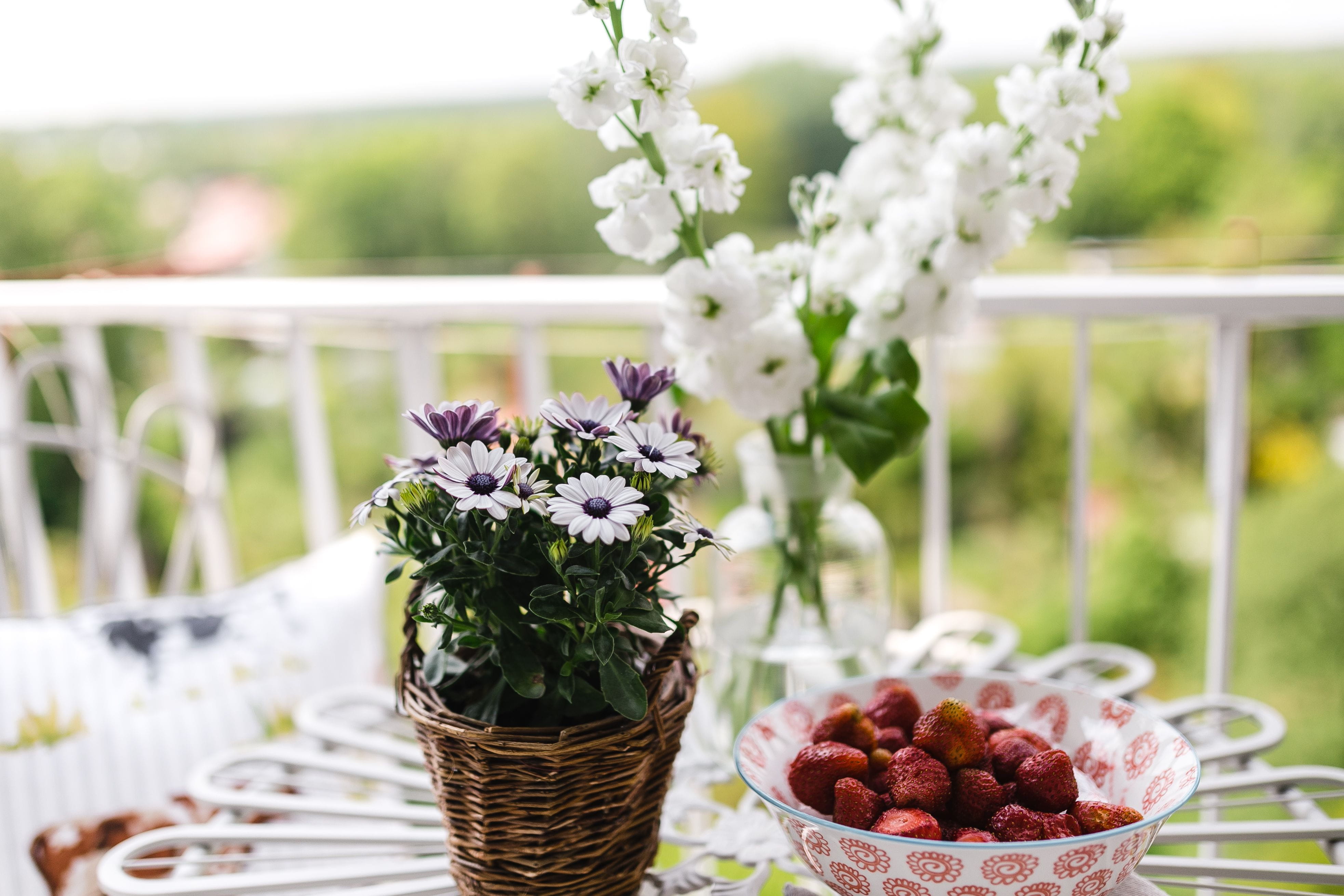 cozy, Balcony, outdoors, flowering plant, decoration, Decorations, healthy eating, berry fruit, cottage, fruit, flower, growth, focus on foreground, summer, HD Wallpaper