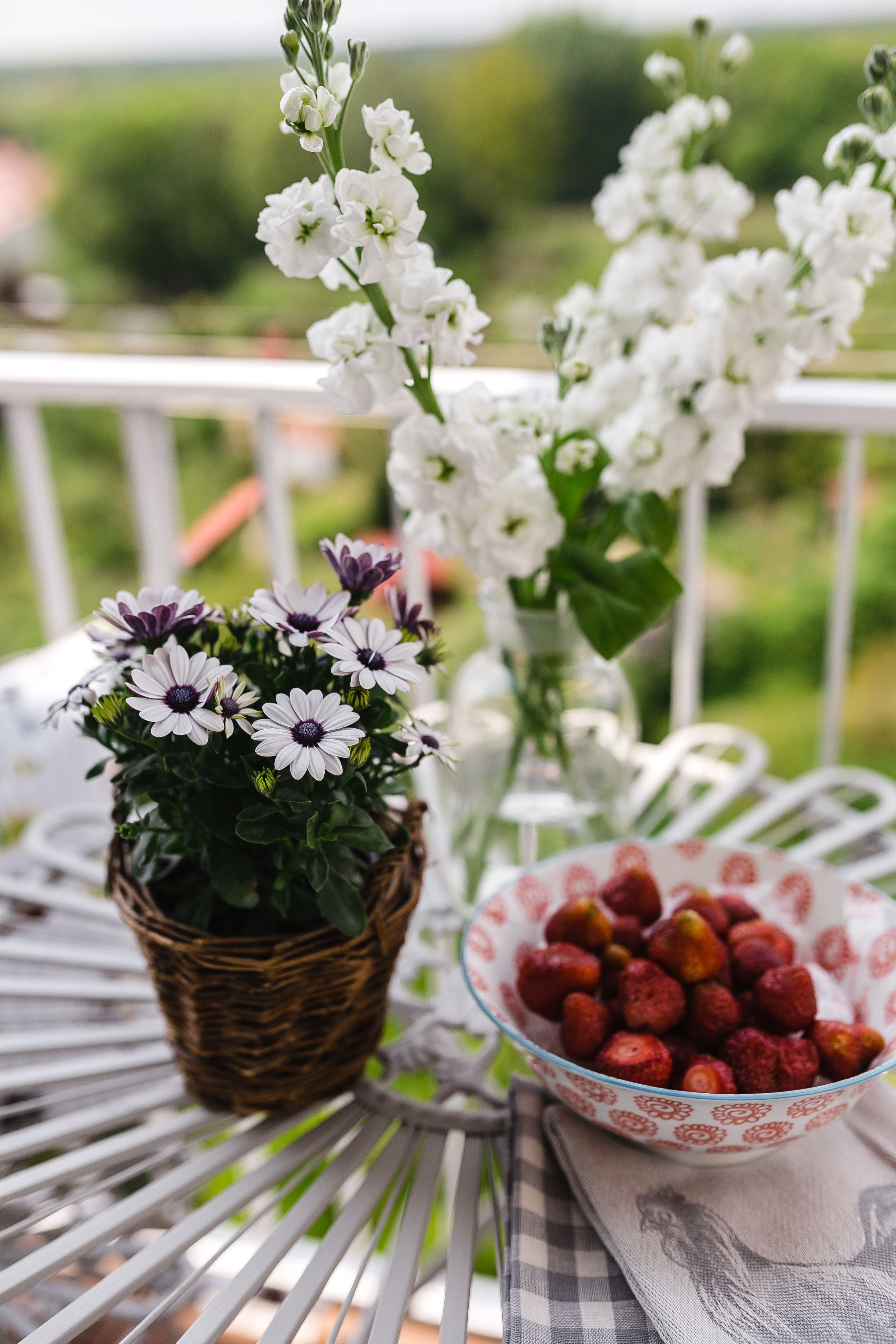 summer, flower, outdoor, Decorations, nature, style, sunny, selective focus, rural, Country-style, focus on foreground, outdoors, summertime, no people, Phone HD Wallpaper