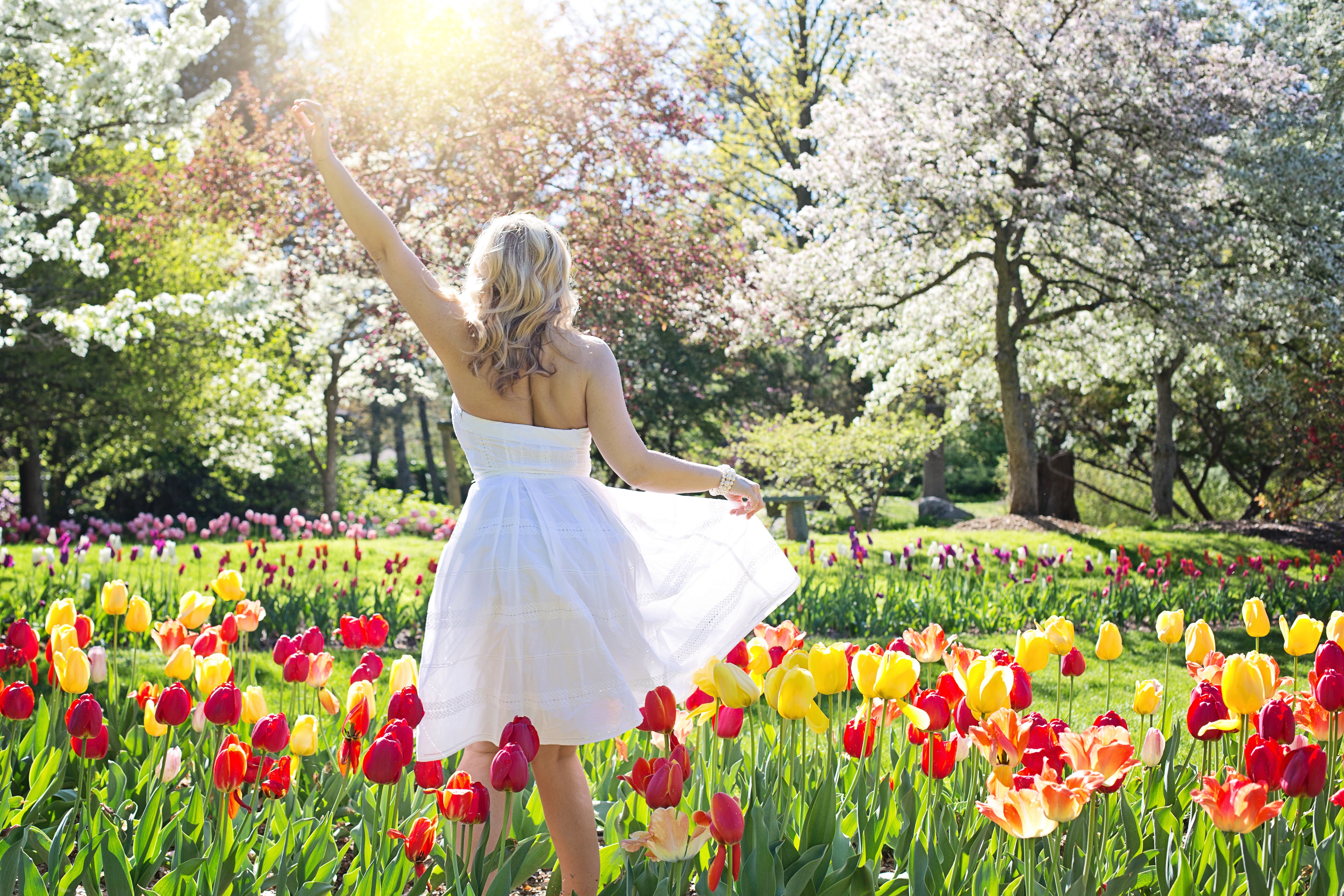 pretty woman, female, hair, flowering plant, outdoors, tube, blooming, females, field, walking, 5K, flowers, human limb, tree, smiling, flower, beautiful woman, HD Wallpaper