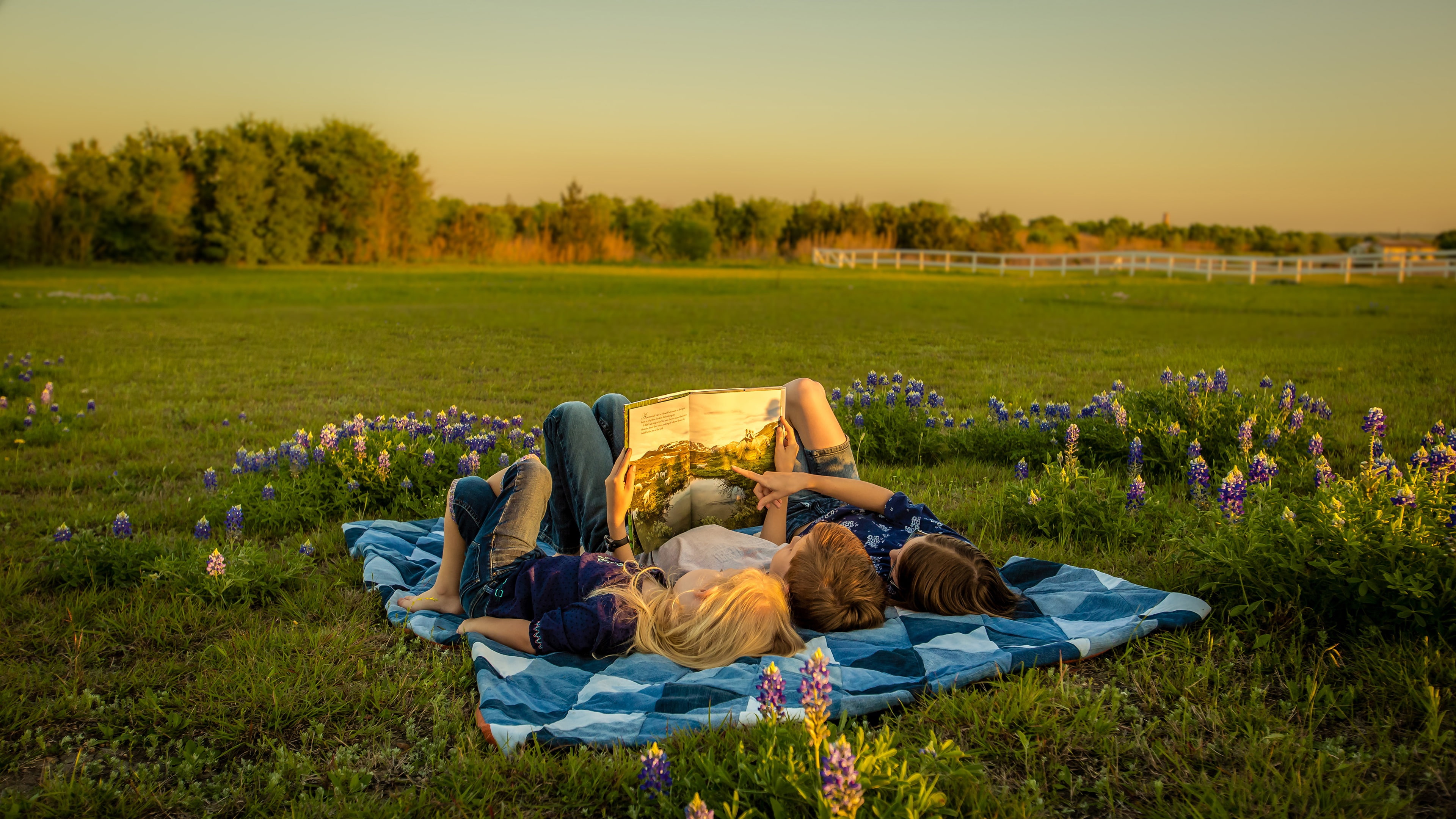 literature, kids, Sunny, boy, reading, stay, lupins, book, knowledge, nature, children, field, read, Threesome, lying, blanket, lie, flowers, 4K, girls, HD Wallpaper
