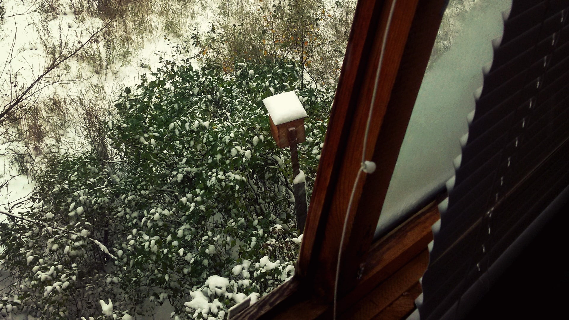 balcony, Russia, nests, 1080P, snow, HD Wallpaper