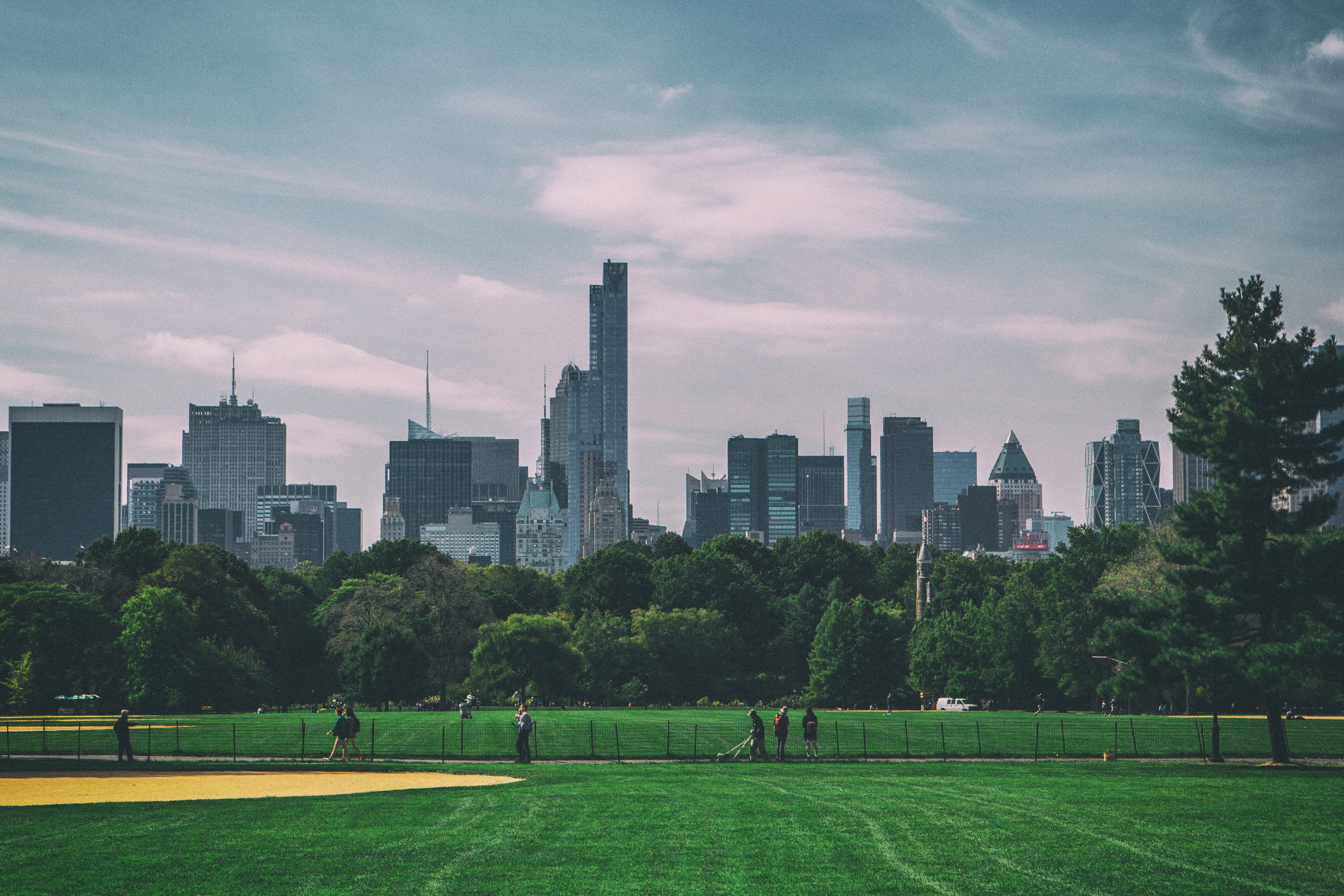 tree, New York City, building, 4K, cityscape, shot, urban Scene, central, uSA, architecture, nature, city, grass, urban, Wide-angle, new, tall - high, HD Wallpaper