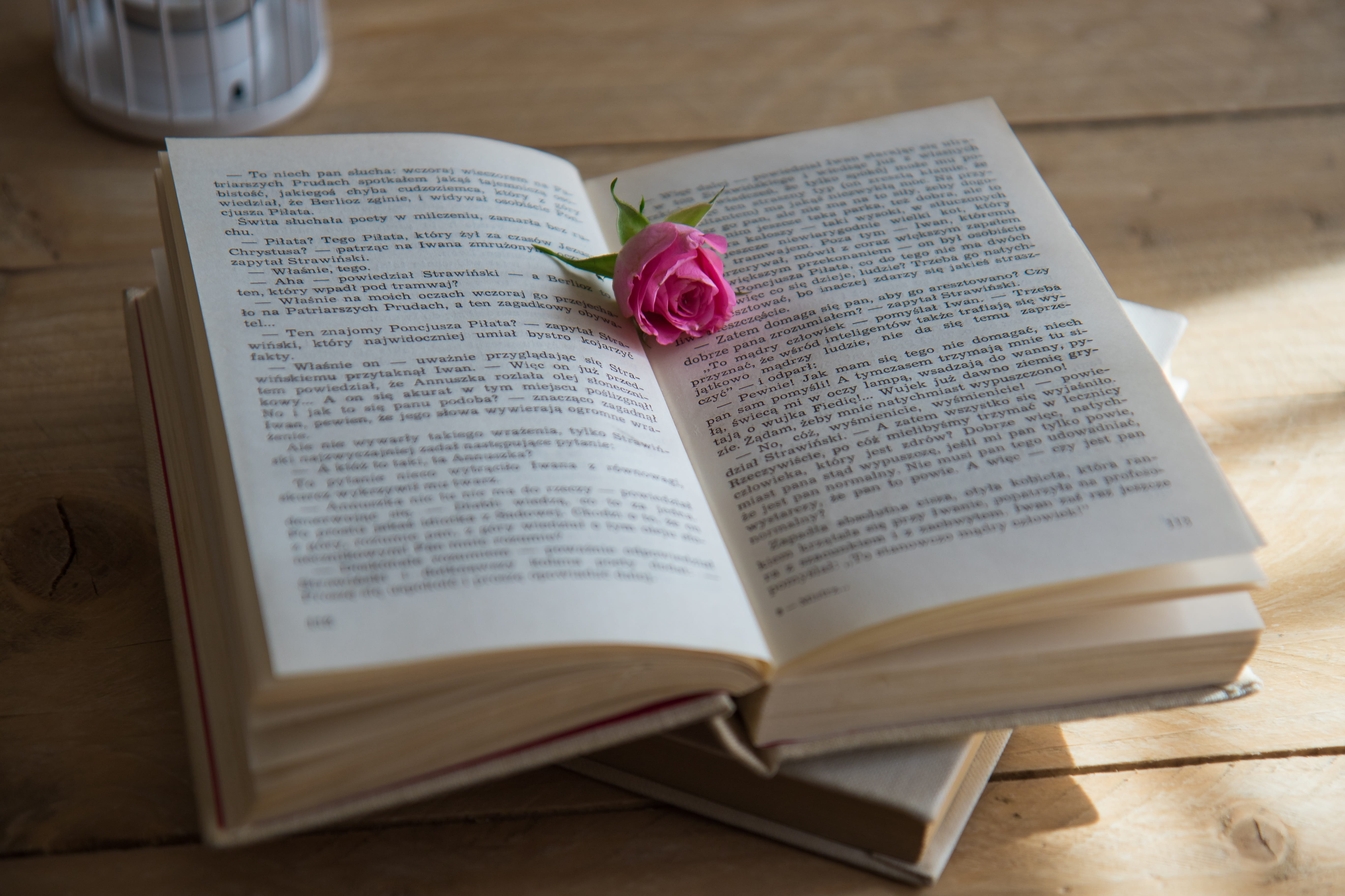 flower, plant, paper, no people, 5K, knowledge, pages, rose - flower, still life, close-up, western script, Pink Rose, book, story, table, indoors, rose, HD Wallpaper