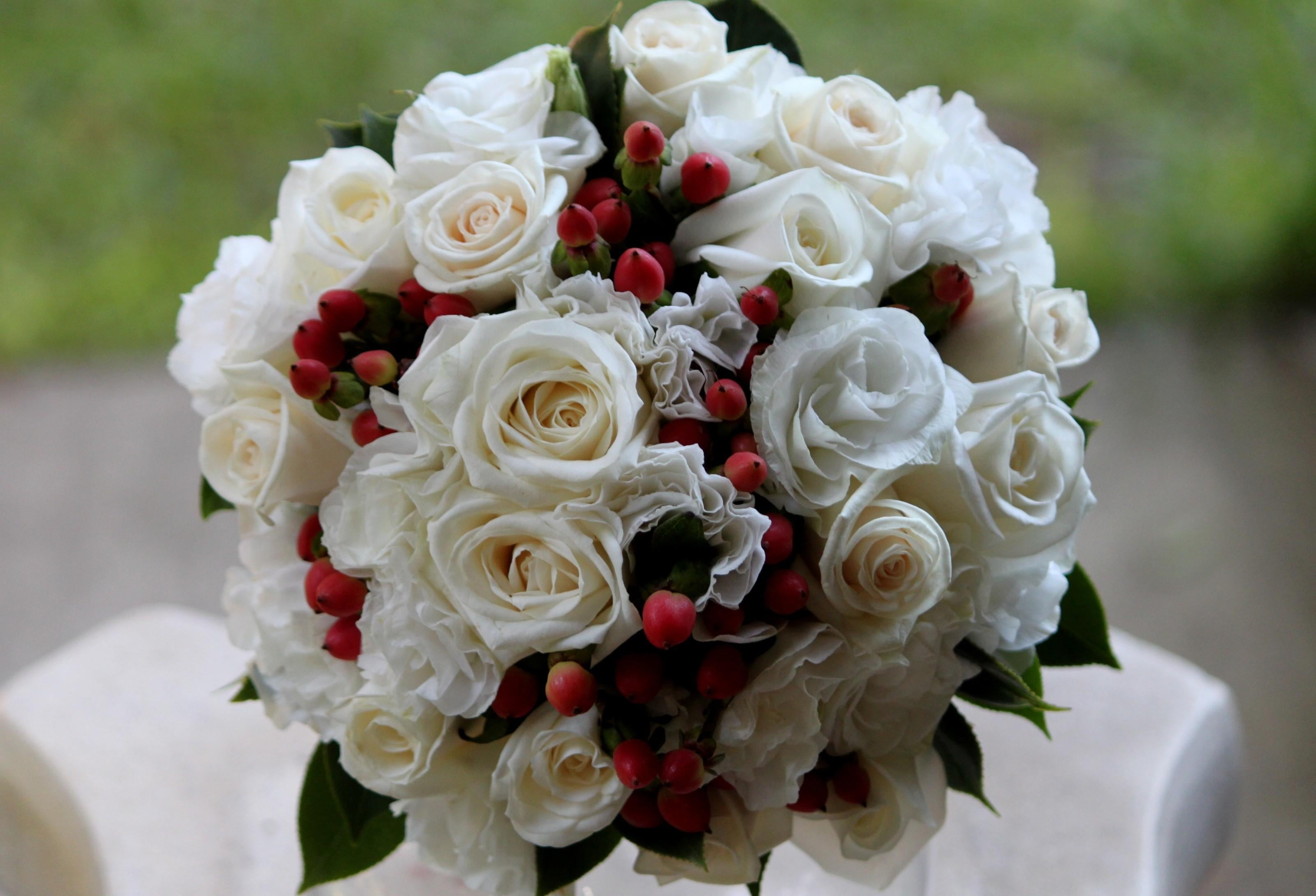 rose, freshness, flower head, red, white color, berry, outdoors, petal, flower arrangement, married, inflorescence, close-up, 2K, beauty in nature, beautifully, HD Wallpaper