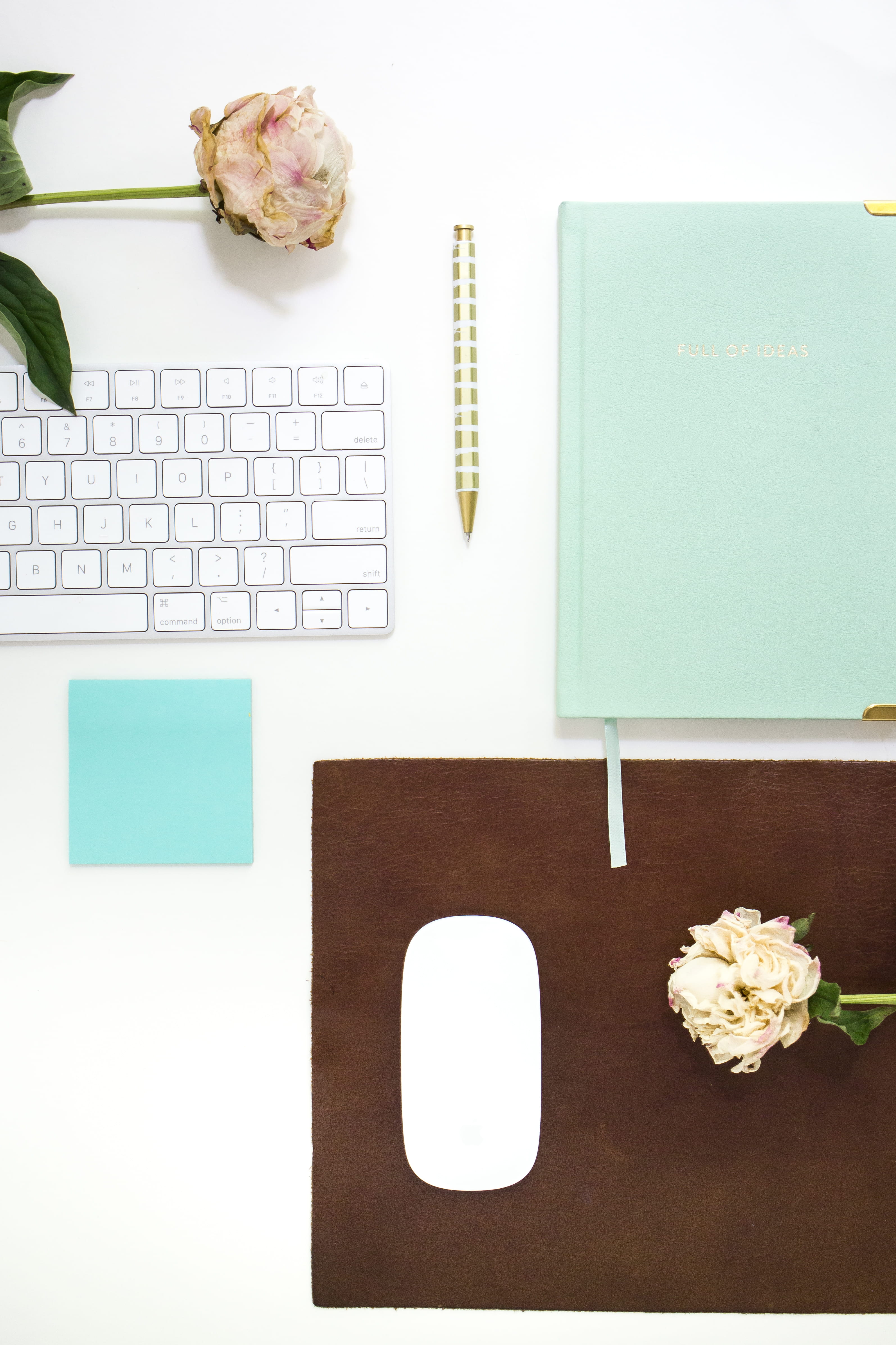 still life, girl boss, magic, computer, withered, table, office supply, plant, feminine, flower, message, flowers, mouse, white color, no people, close-up, Phone HD Wallpaper