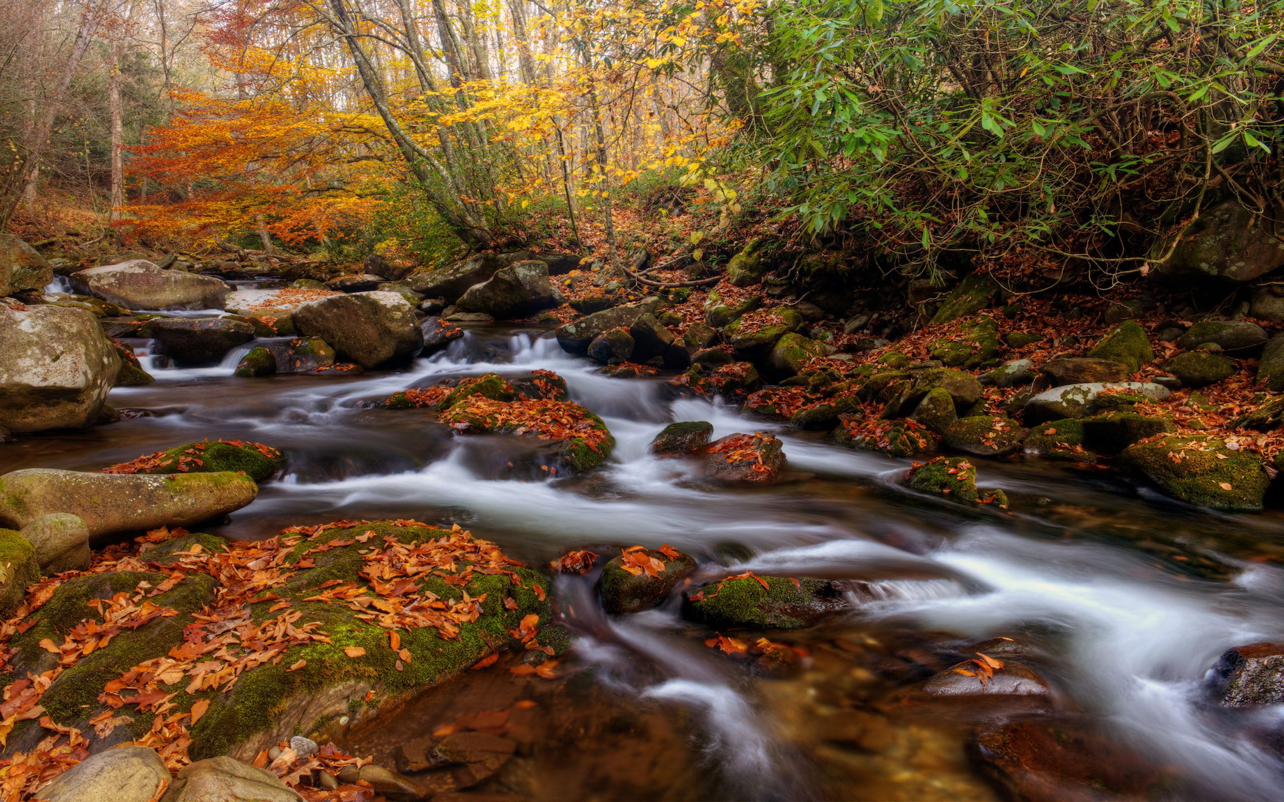 national, late, river, great, oconaluftee, park, smoky, americas, 2K, fall, desktop, hd, mountains, HD Wallpaper
