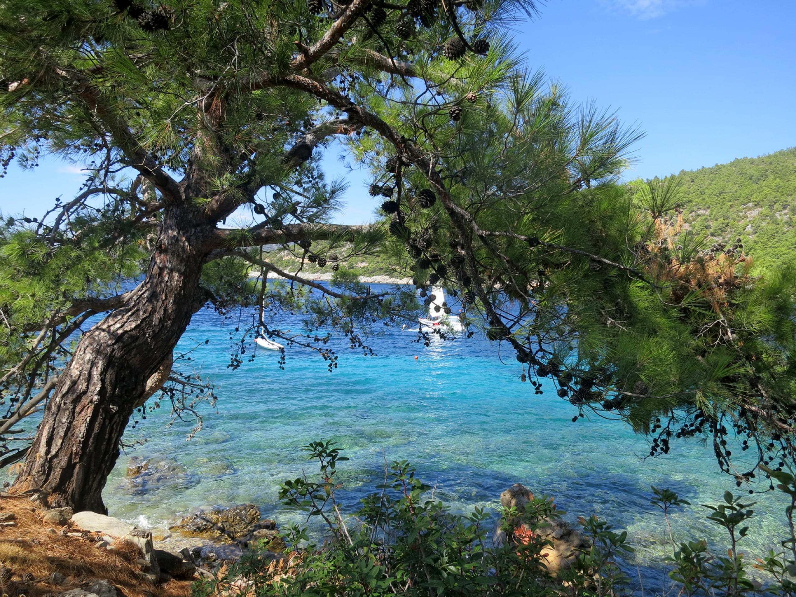 green color, nature, land, tranquil scene, bodrum village, no people, tree, tranquility, boat, sunny, Blue Water, outdoors, Village, idyllic, scenics - nature, HD Wallpaper