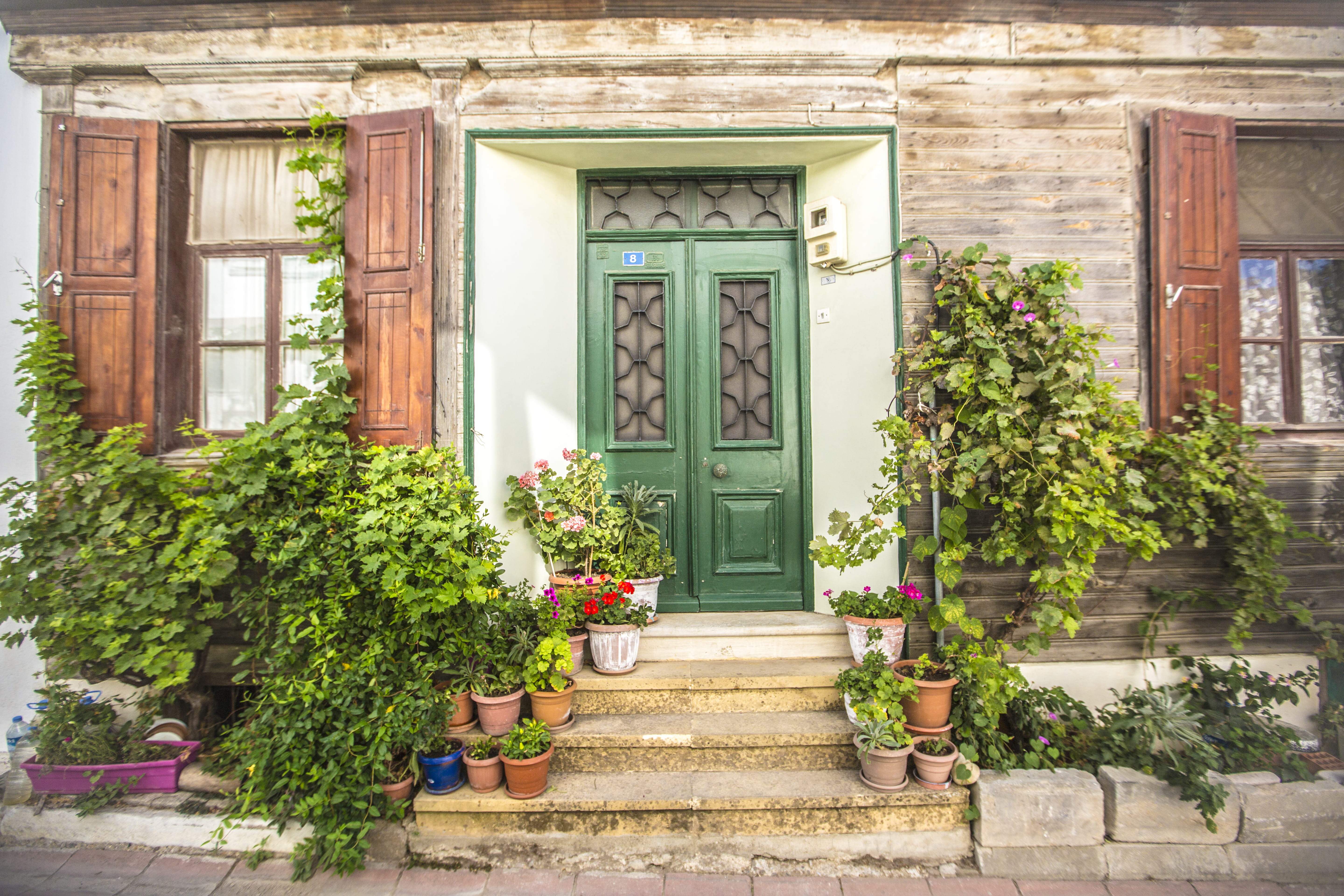 flower, closed, botanic, botanical, growth, entrance, building, potted plant, plant, bozcaada, turkey, day, green color, window, 5K, flower pot, residential district, HD Wallpaper