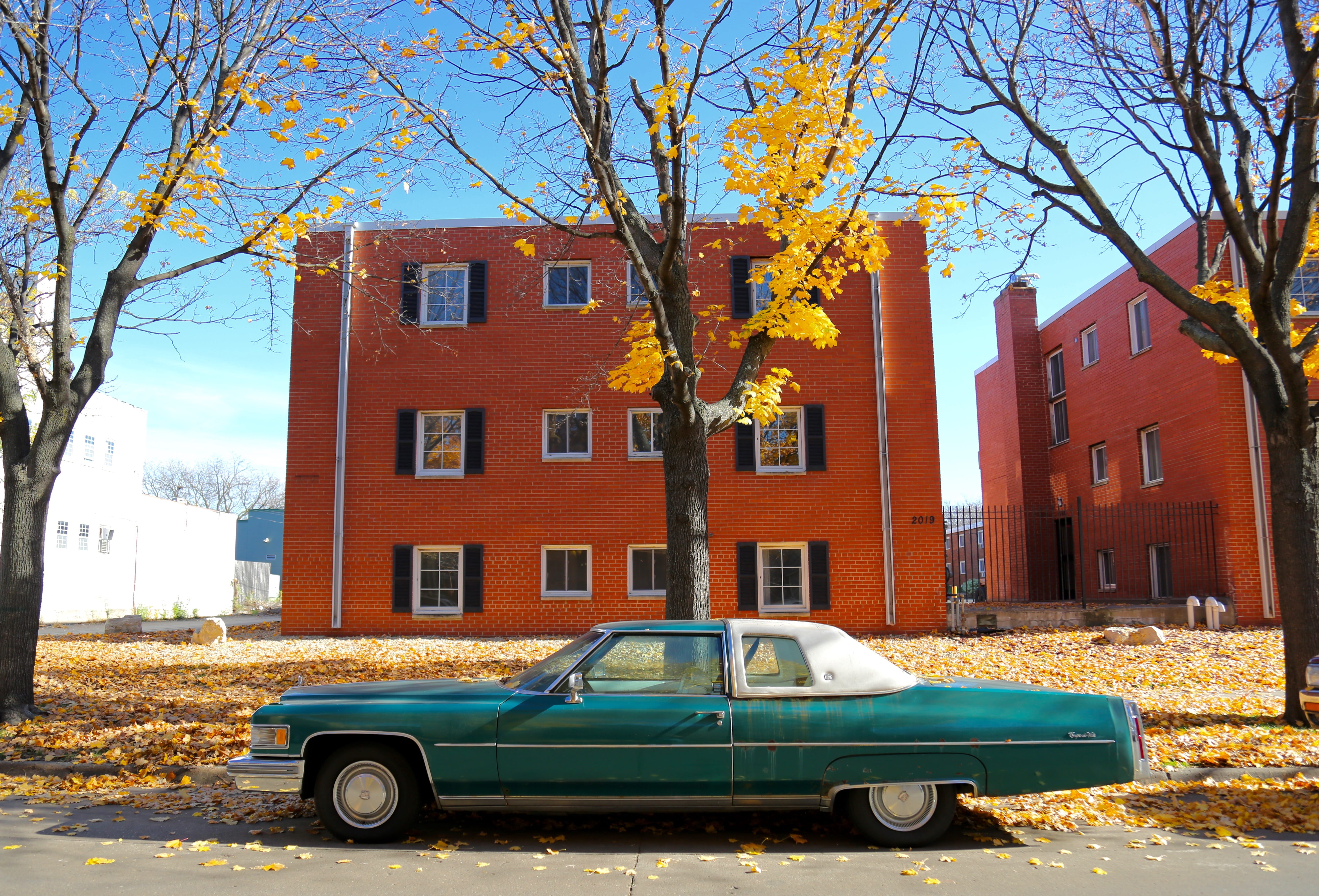 teal, built structure, parking, green, motor vehicle, change, beside, muscle, land vehicle, white, old-fashioned, building, city, old, building exterior, HD Wallpaper