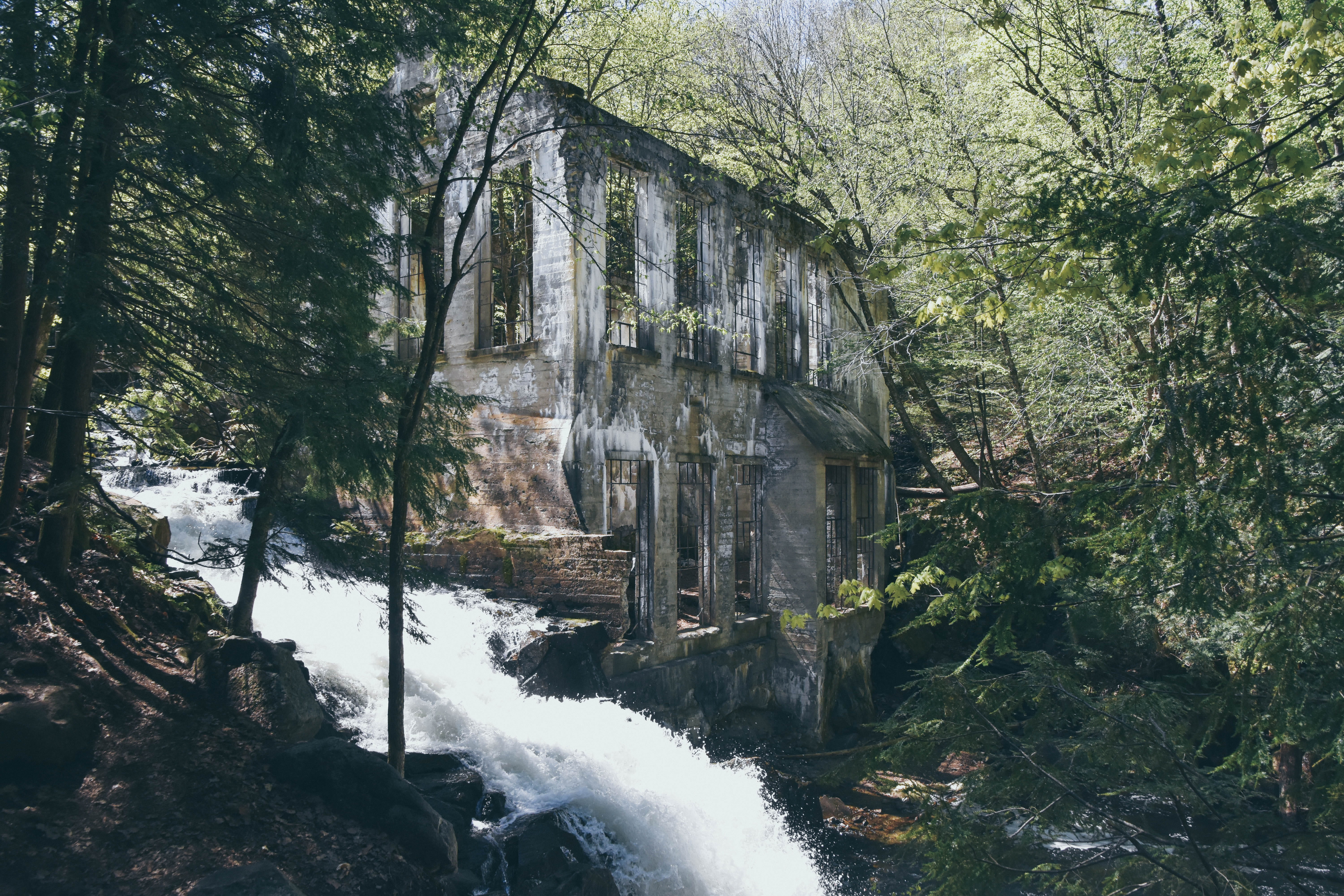 motion, plant, rainforest, old house, land, environment, long exposure, outdoors, tree, quebec, tranquility, beauty in nature, 5K, flowing water, no people, HD Wallpaper