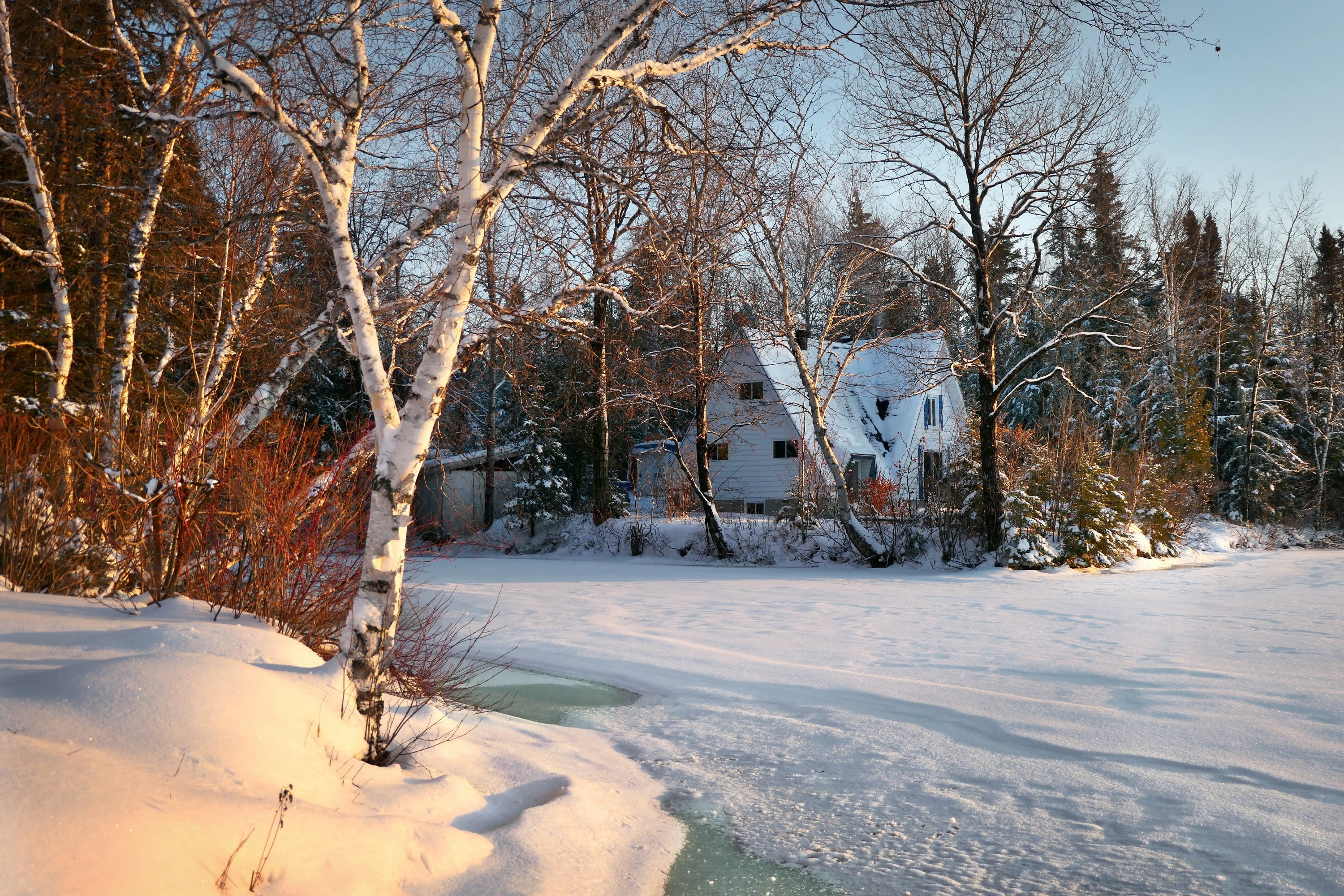 cottage, nature, snow, Bank, QC, house, 2K, winter, ice, forest, Canada, lake, landscape, trees, HD Wallpaper
