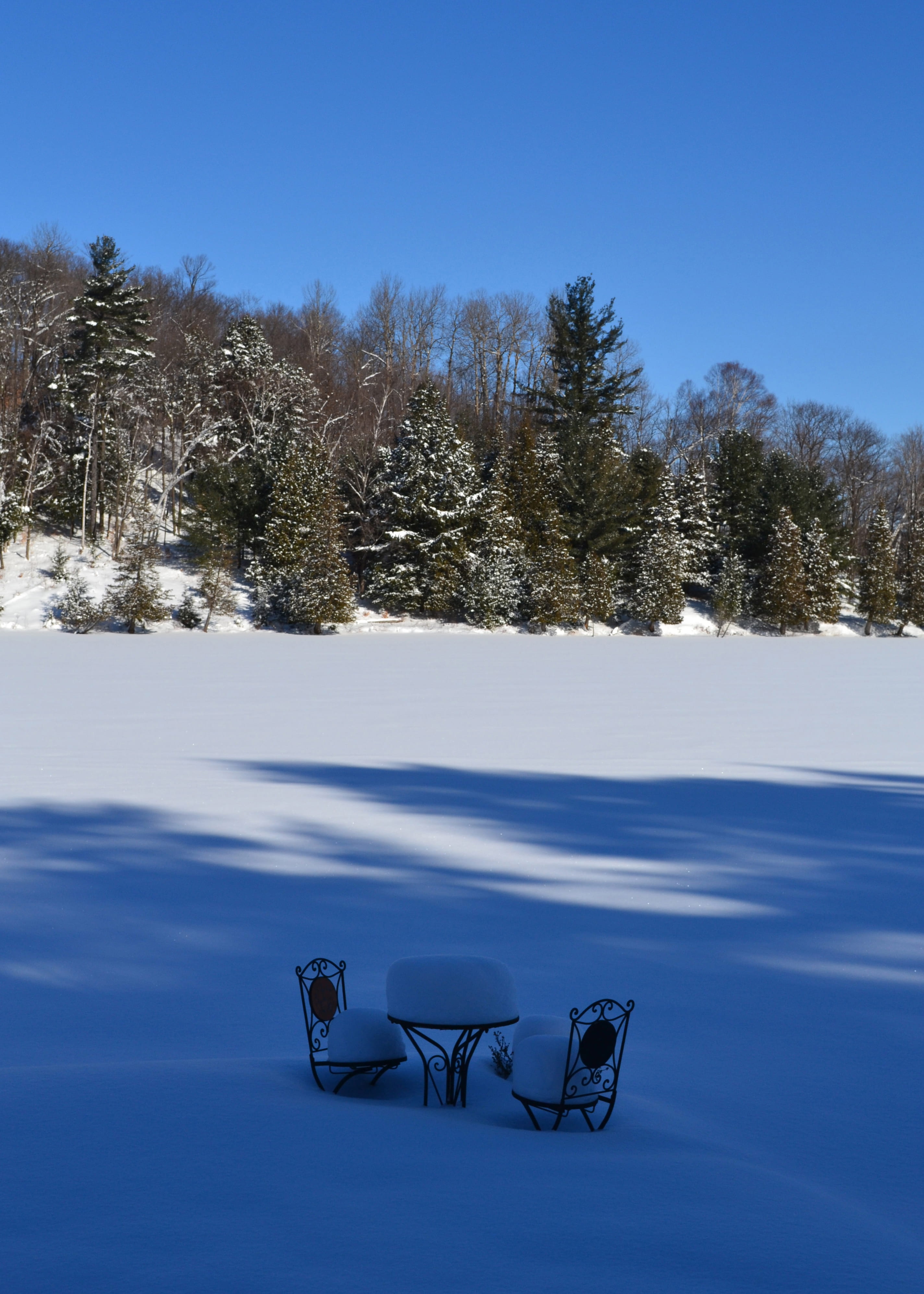 sunlight, 4K, qc, winter, snow, non-urban scene, tranquility, scenics - nature, sky, plant, beauty in nature, no people, day, canada, outdoors, field, Phone HD Wallpaper