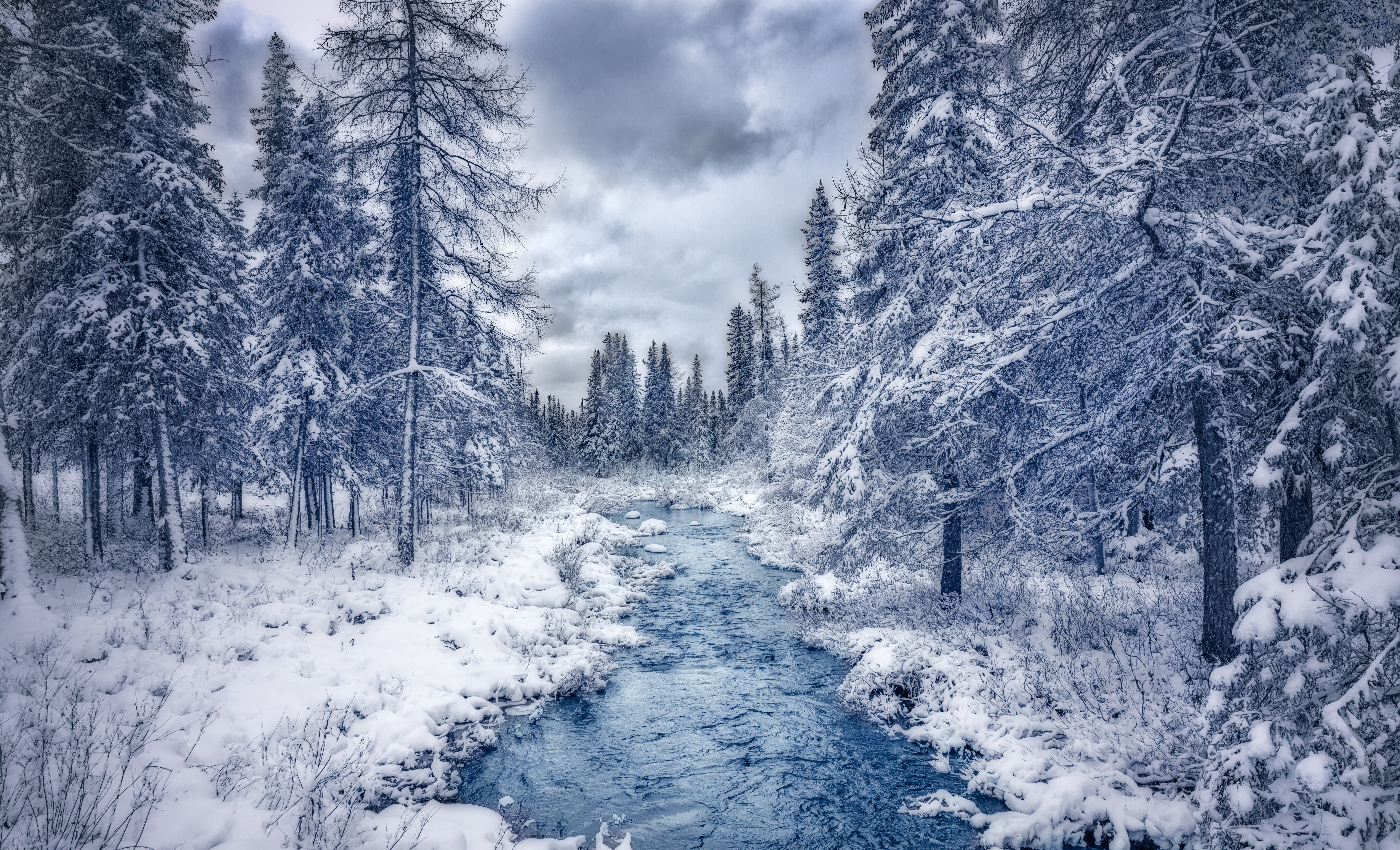 scenics - nature, covering, tranquility, nature, Canada, non-urban scene, forest, plant, QC, frozen, snow, day, environment, winter, 5K, tranquil scene, HD Wallpaper