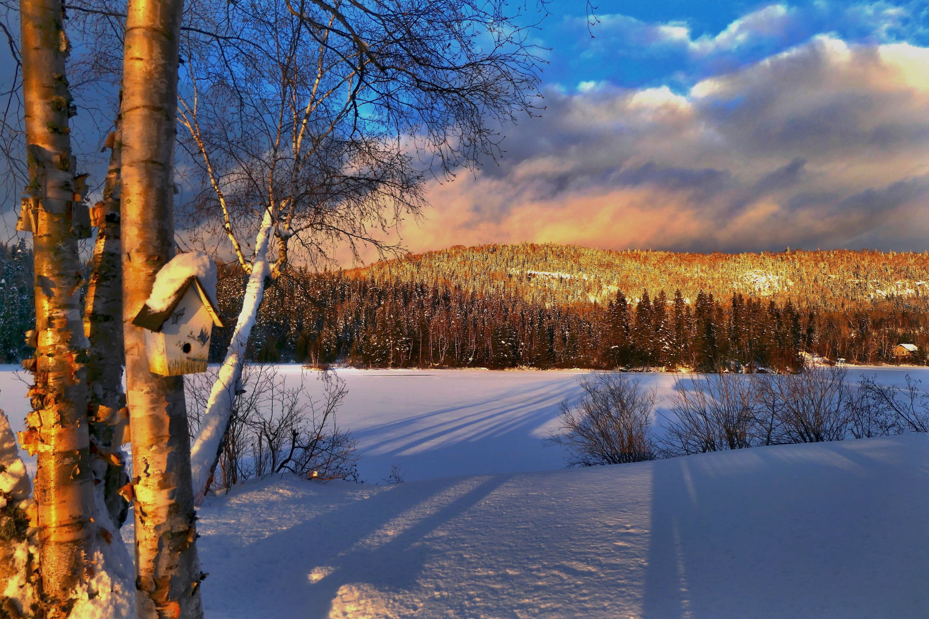 QC, Canada, sunset, 2K, forest, Alain Audet, hill, nature, trees, birdhouse, snow, shadows, winter, landscape, HD Wallpaper