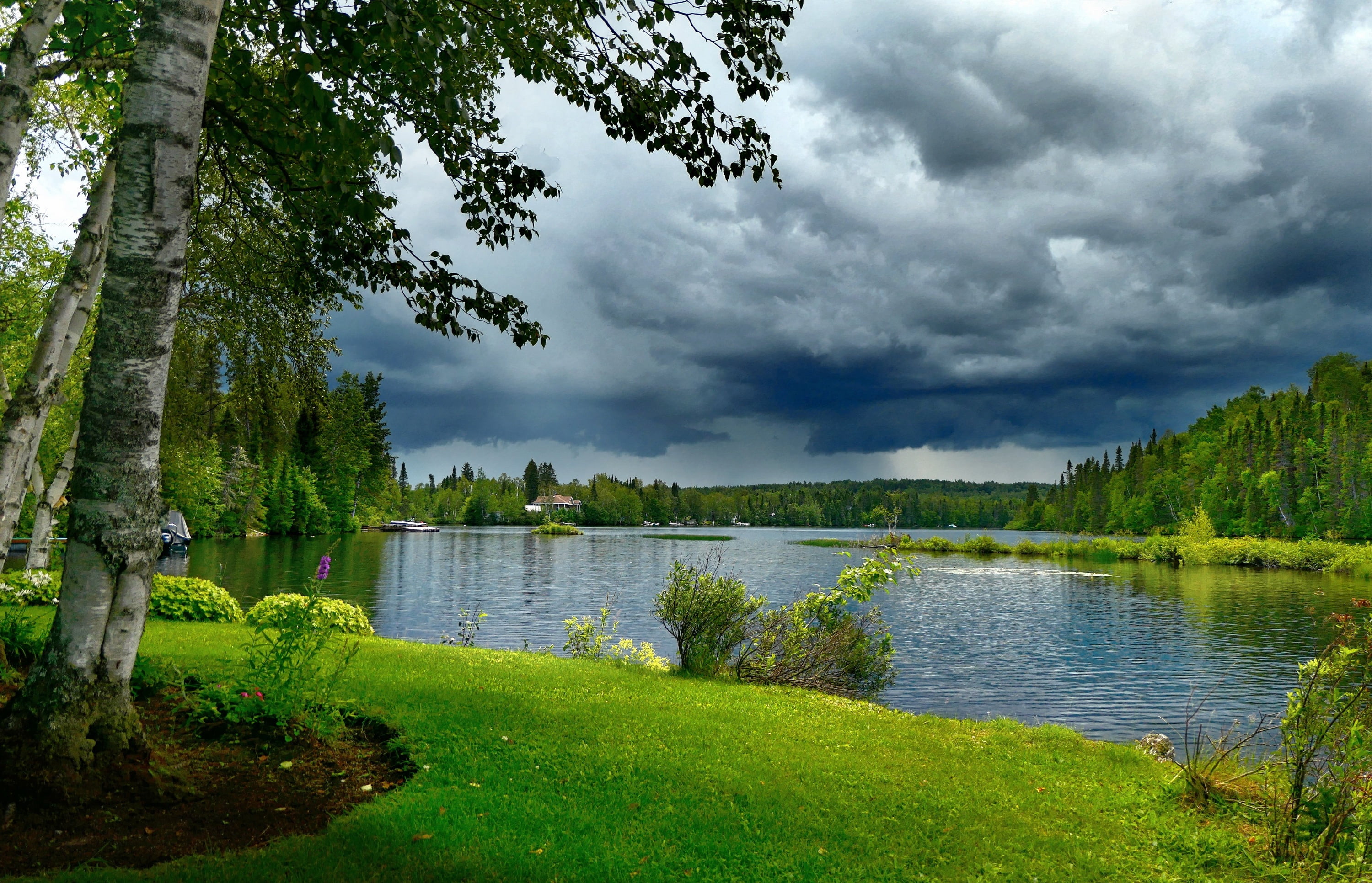 lake, clouds, Bank, trees, forest, Alain Audet, nature, birch, QC, landscape, Canada, 2K, HD Wallpaper