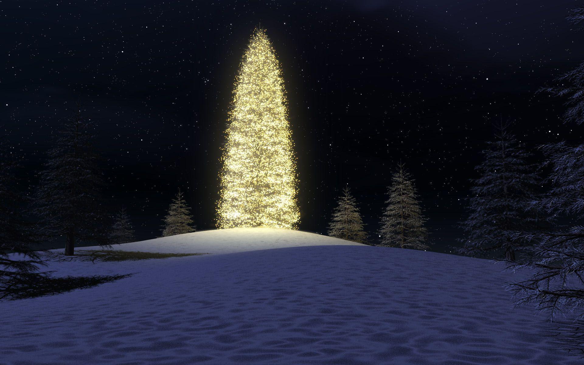 green, night, merry christmas, star, 1080P, snow, holidays, christmas, led, 1920x1200, light, tree, HD Wallpaper
