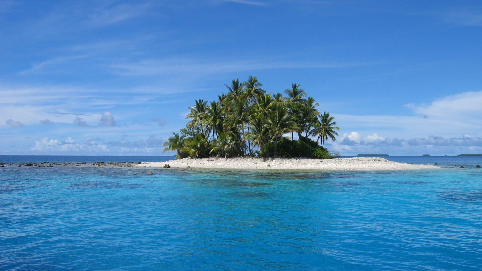 idyllic, sky, trees, palm trees, 1080P, outdoors, land, blue, scenics - nature, waterfront, green, landscape, coconut palm tree, beauty in nature, no people, HD Wallpaper