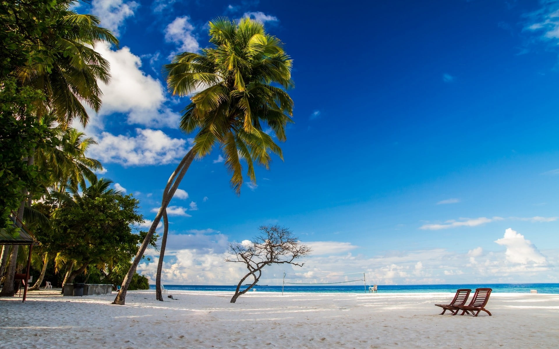 Maldives, water, 1080P, sky, palm, chair, palm trees, horizon over water, morning, scenics - nature, sand, tranquil scene, no people, cloud - sky, white, HD Wallpaper