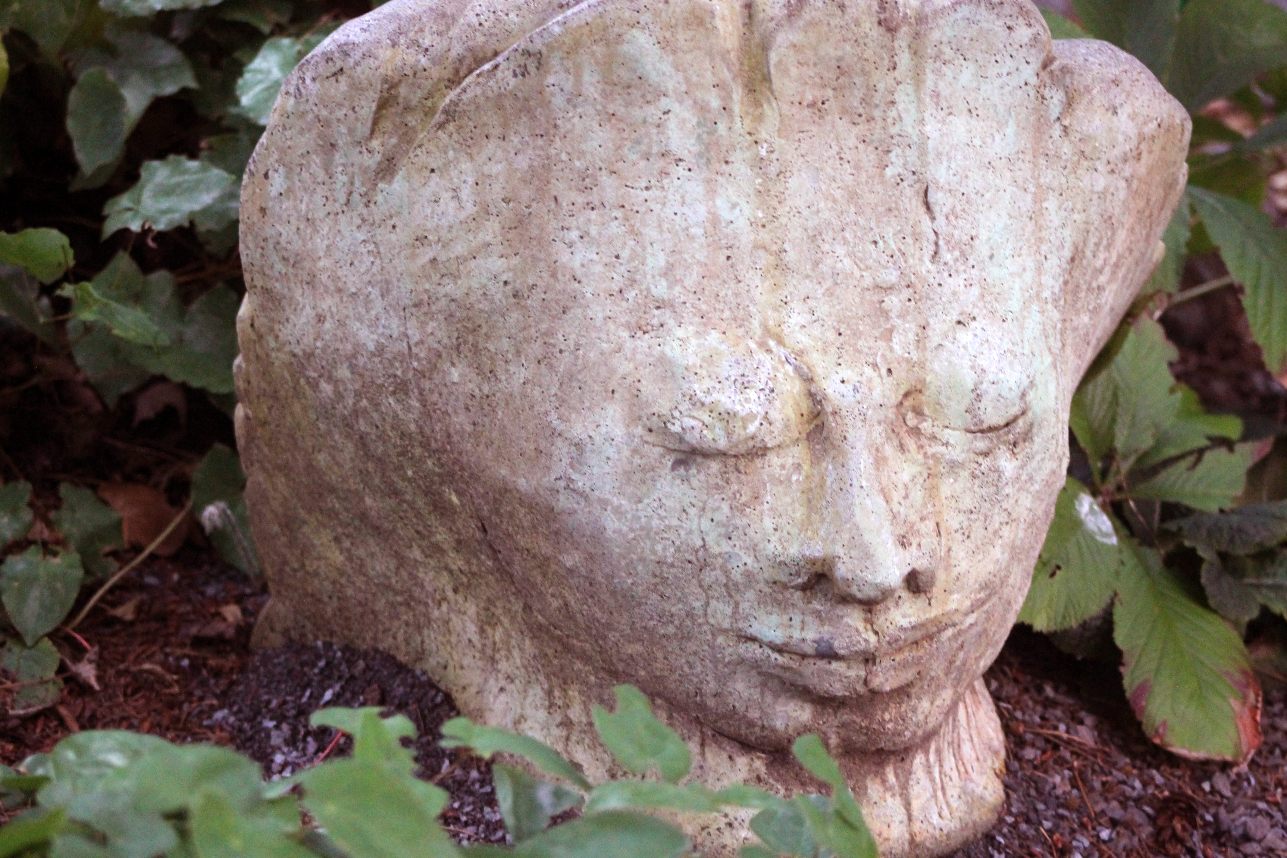 old, garden, serene, craft, angel, statue, face, leaf, nature, plant, close-up, no people, stone, outdoors, focus on foreground, day, growth, representation, HD Wallpaper