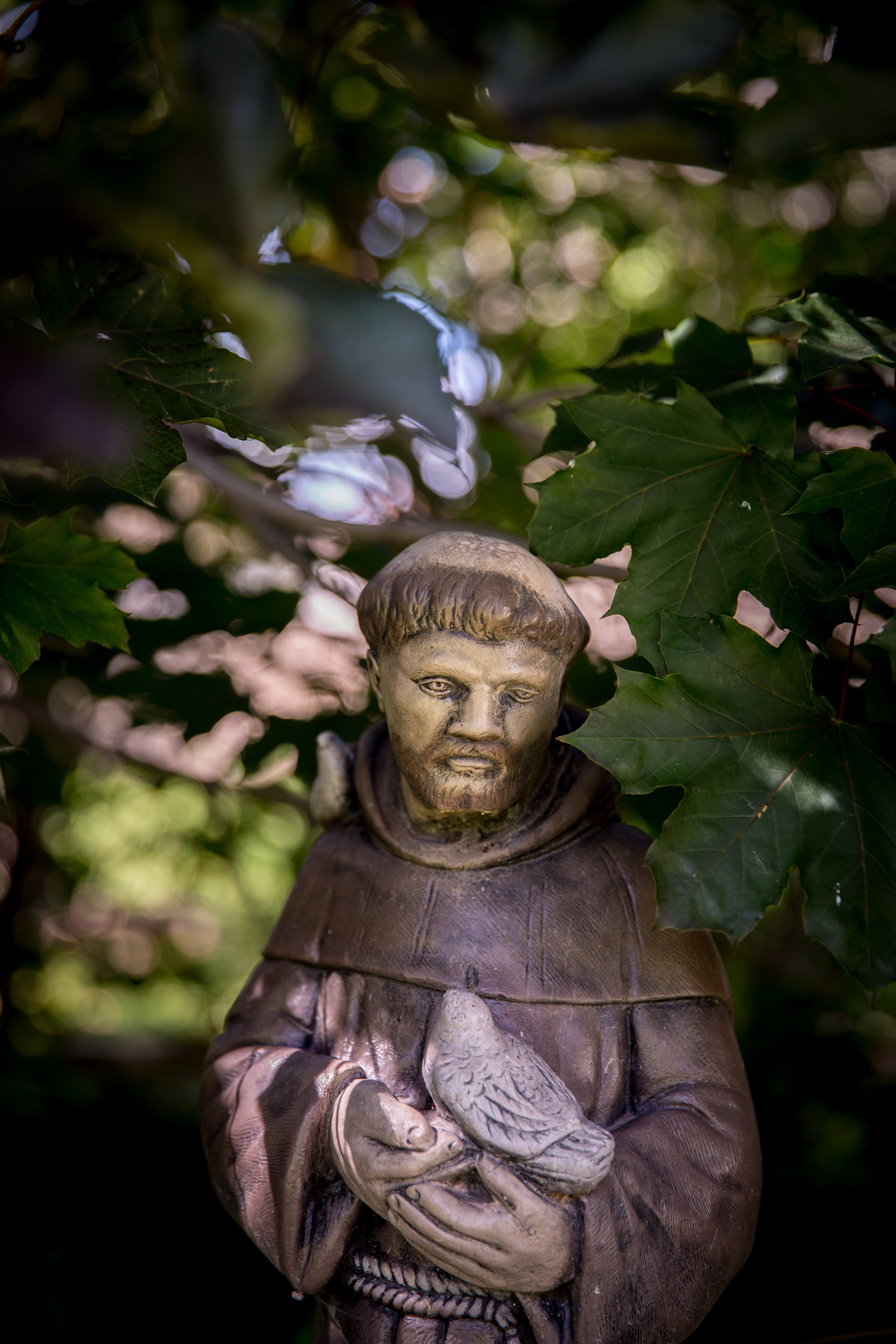 focus on foreground, plant, monk, saints, craft, outdoors, close-up, statue, representation, male likeness, nature, day, church, park, statuary, garden, Phone HD Wallpaper