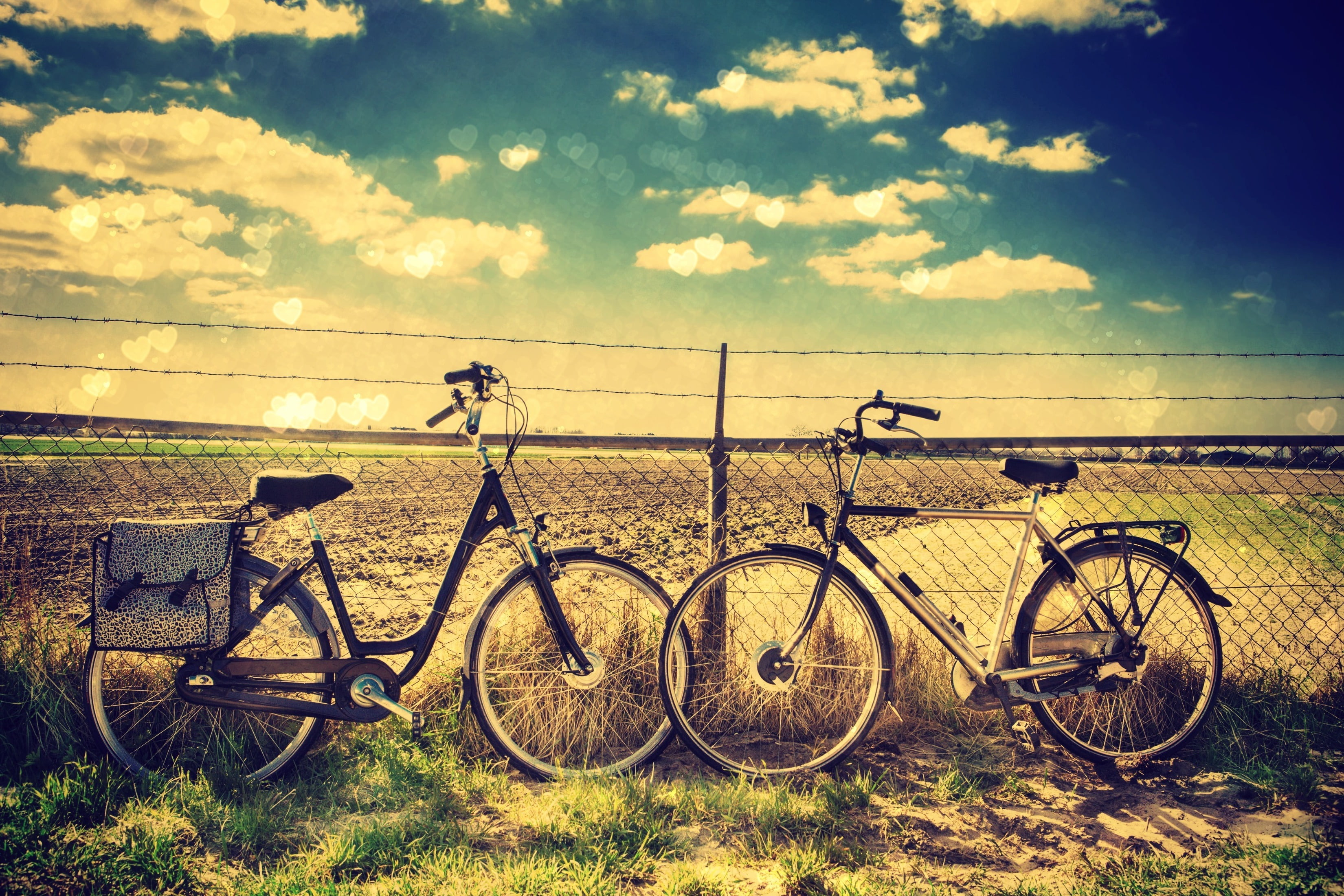 field, fullscreen, mode of Transport, mode of transportation, springtime, wire, sunset, wheel, rural Scene, bicycles, sky, full screen, land, transportation, HD Wallpaper