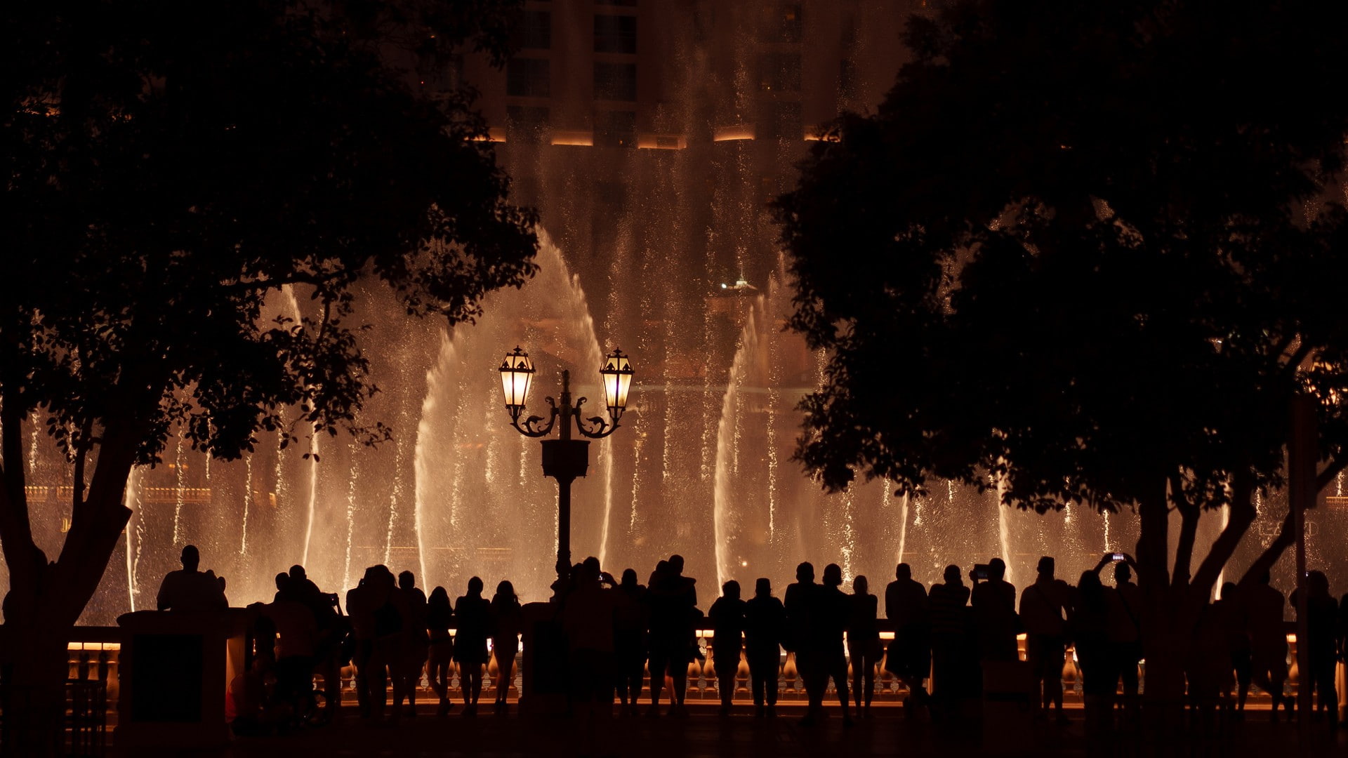 Bellagio, Las Vegas, 1080P, fountain, trees, night, HD Wallpaper