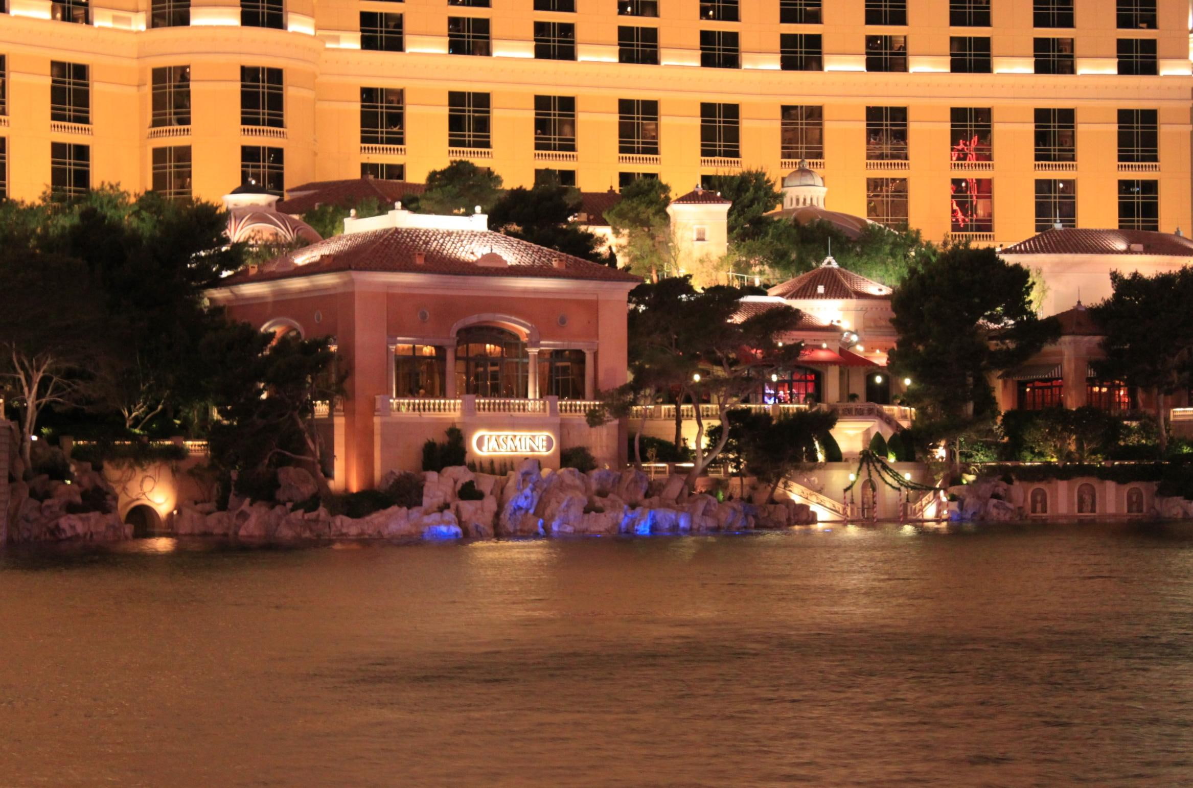 1080P, blue lights, bellagio, water, trees, restaurant, view, animals, HD Wallpaper