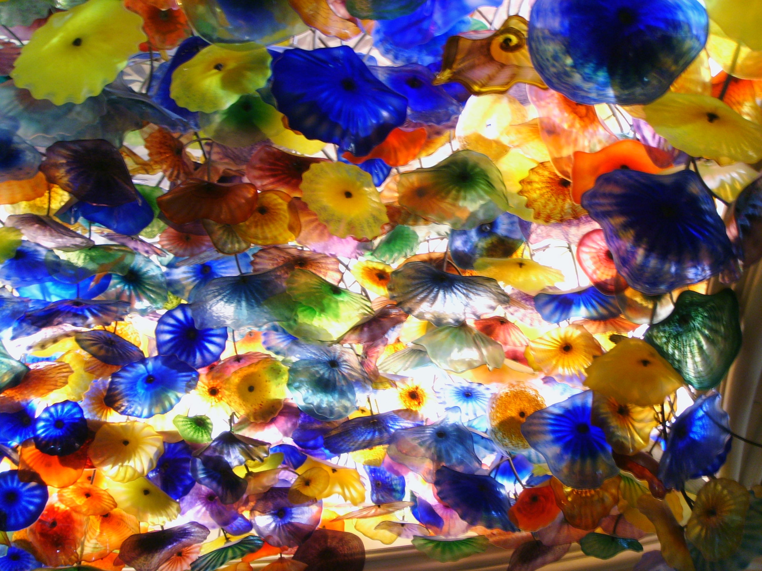 variation, glass sculpture, multi colored, close-up, water, abstract, pattern, las vegas, high angle view, flower, full frame, backgrounds, day, nevada, HD Wallpaper
