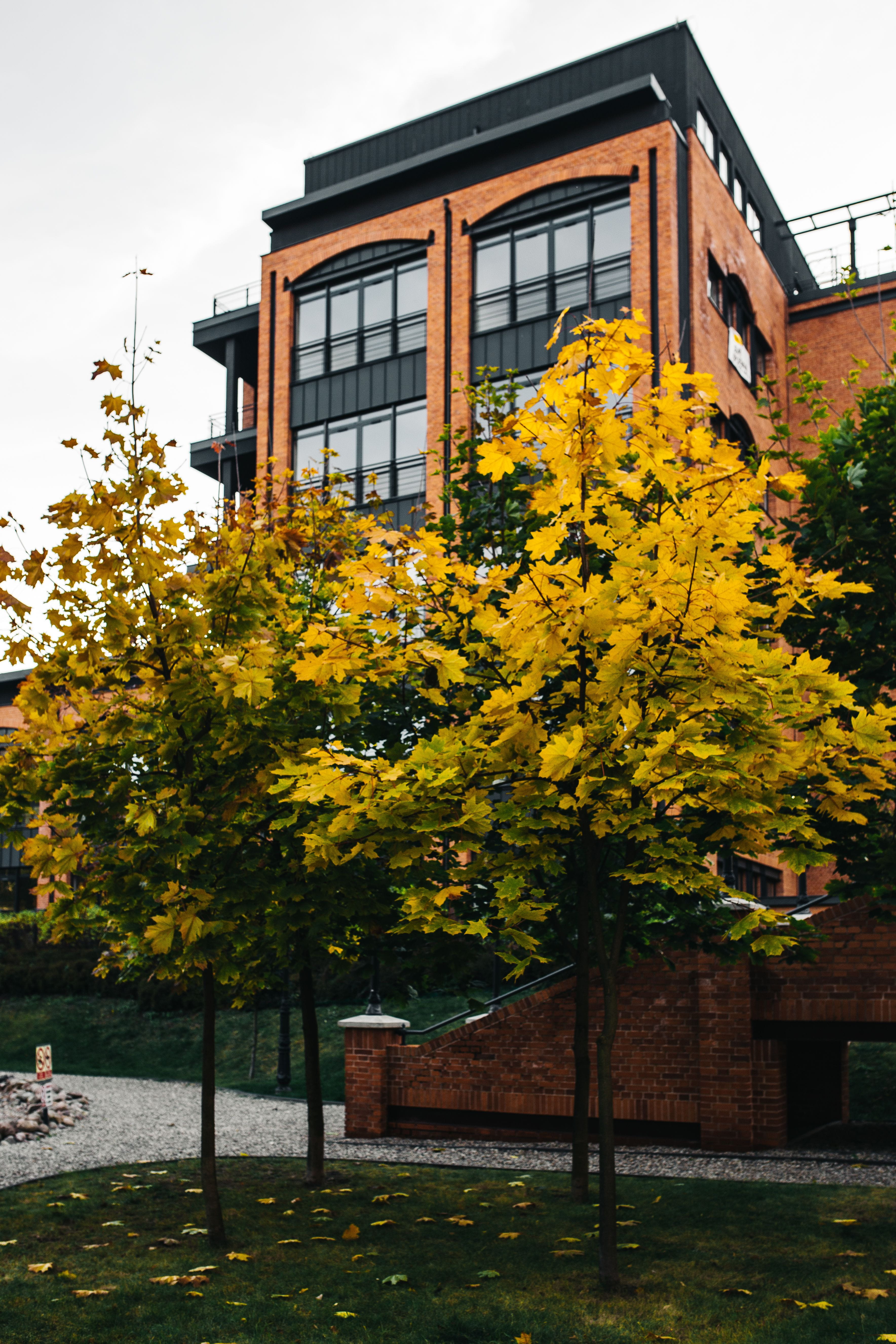 tree, Loft, outdoors, Revitalized, building Exterior, historic, nature, łódź, industrial, flower, house, old, bricks, day, urban Scene, flowering plant, Phone HD Wallpaper