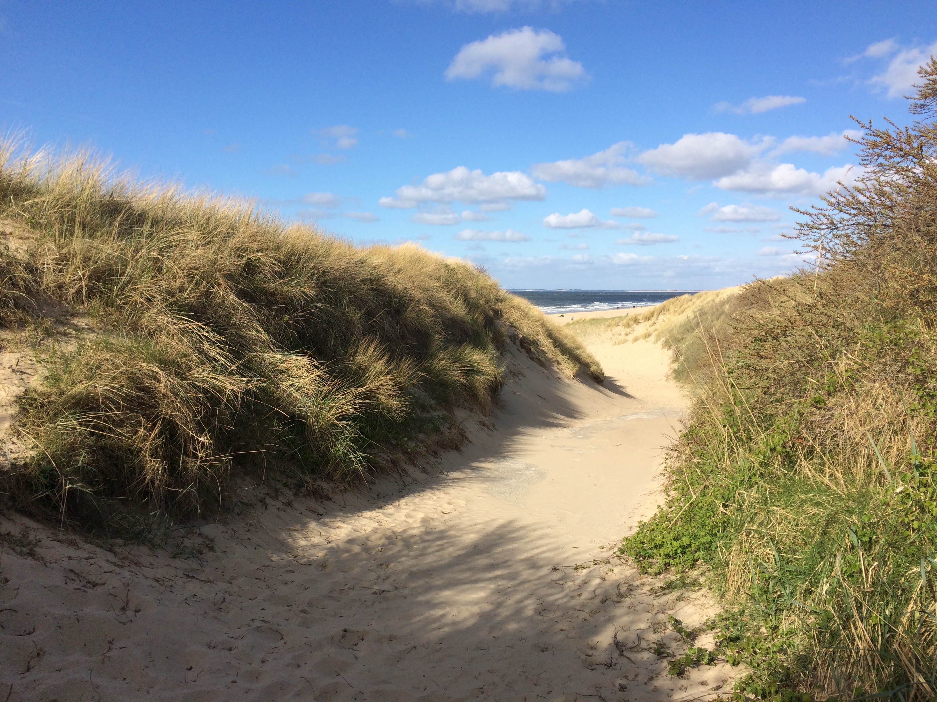 cloud - sky, north sea coast, day, sea, 2K, marram Grass, sunlight, nature, scenics - nature, sky, no people, land, sand Dune, plant, growth, sand, north sea, HD Wallpaper