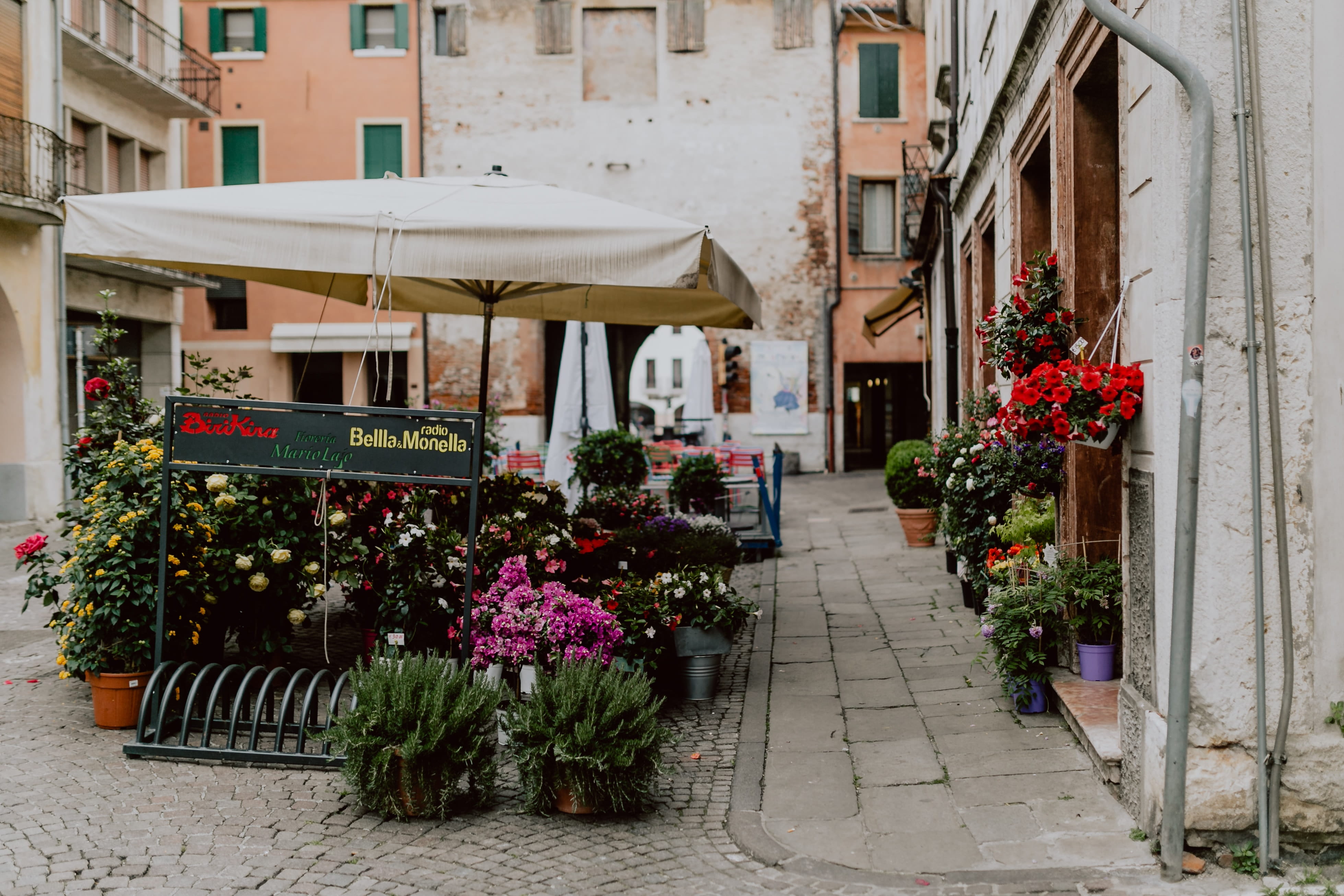 castelfranco veneto, flower, flower shop, nature, blooming, city, footpath, castelfranco, building exterior, flowering plant, communication, plant, residential district, HD Wallpaper