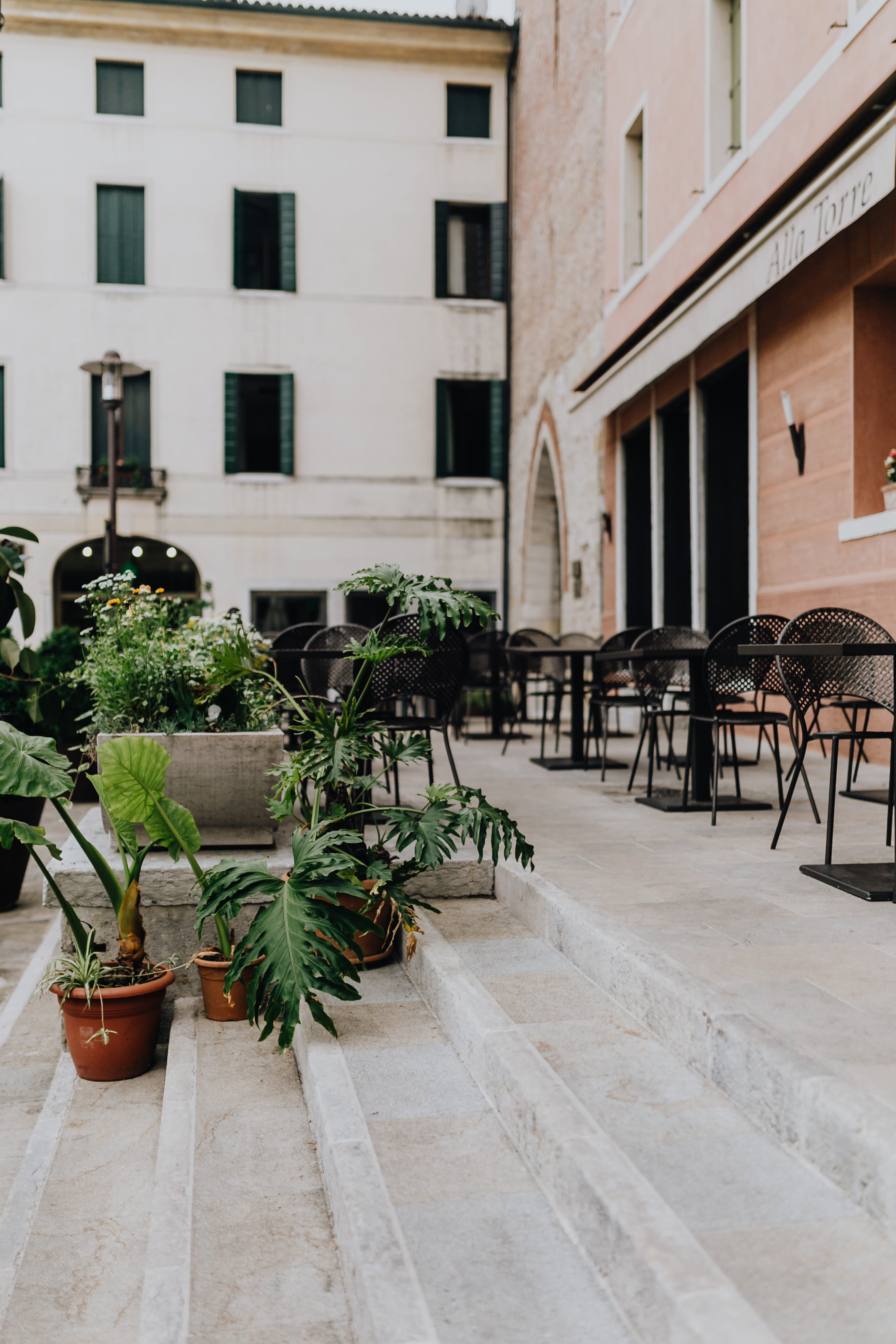 plant, Italy, flower pot, window, city, day, building exterior, 4K, buildings, outdoors, built structure, balcony, chair, nature, seat, architecture, castelfranco, Phone HD Wallpaper